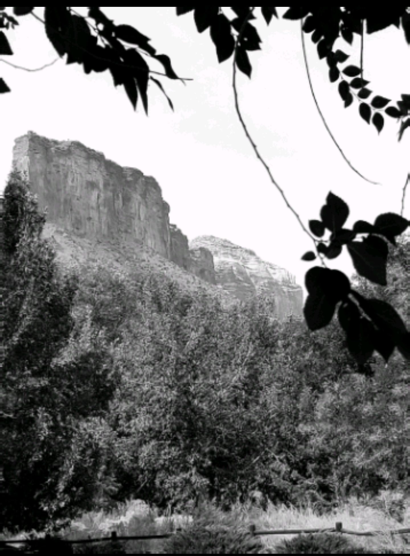 Screenshot_20210903-105556.jpg