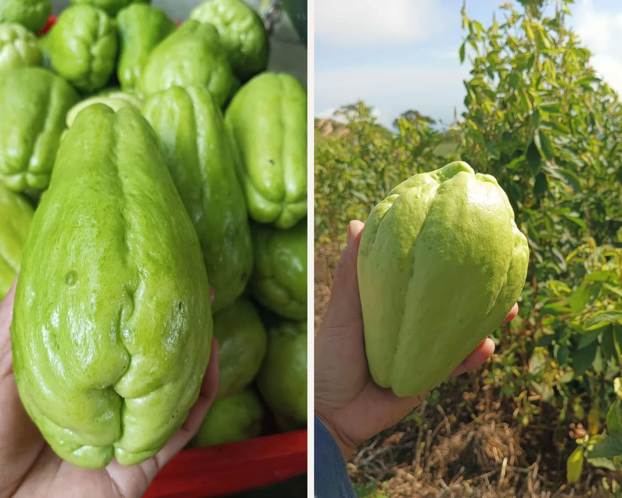 Brown Wooden Best friend Pictures Photo Collage (1).jpg