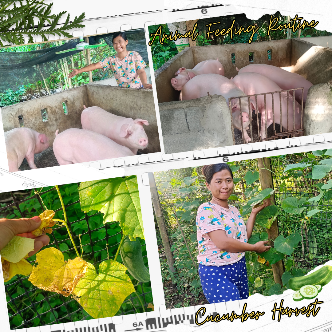 Couple Love Story Collage Photos Film frames Instagram Post.png