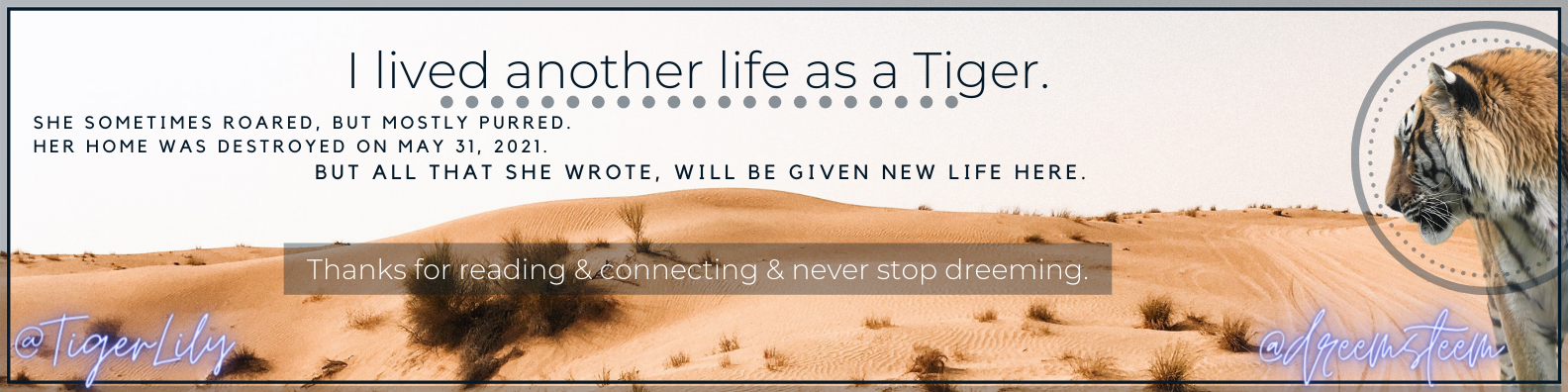 I lived another life as a Tiger..png