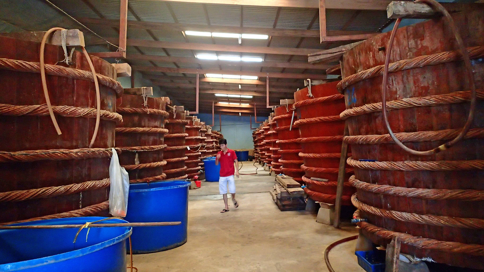 moderne Fischsaucenproduktion2.jpg