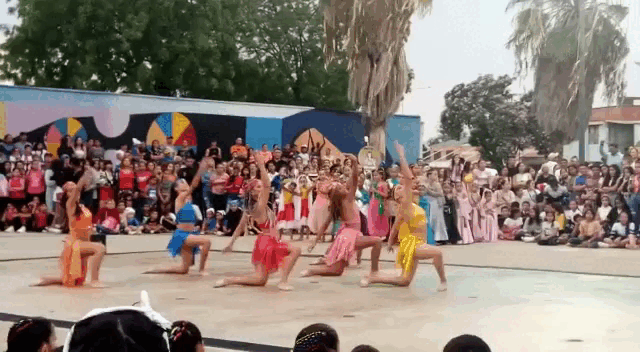 VID-20230401-WA0063.gif