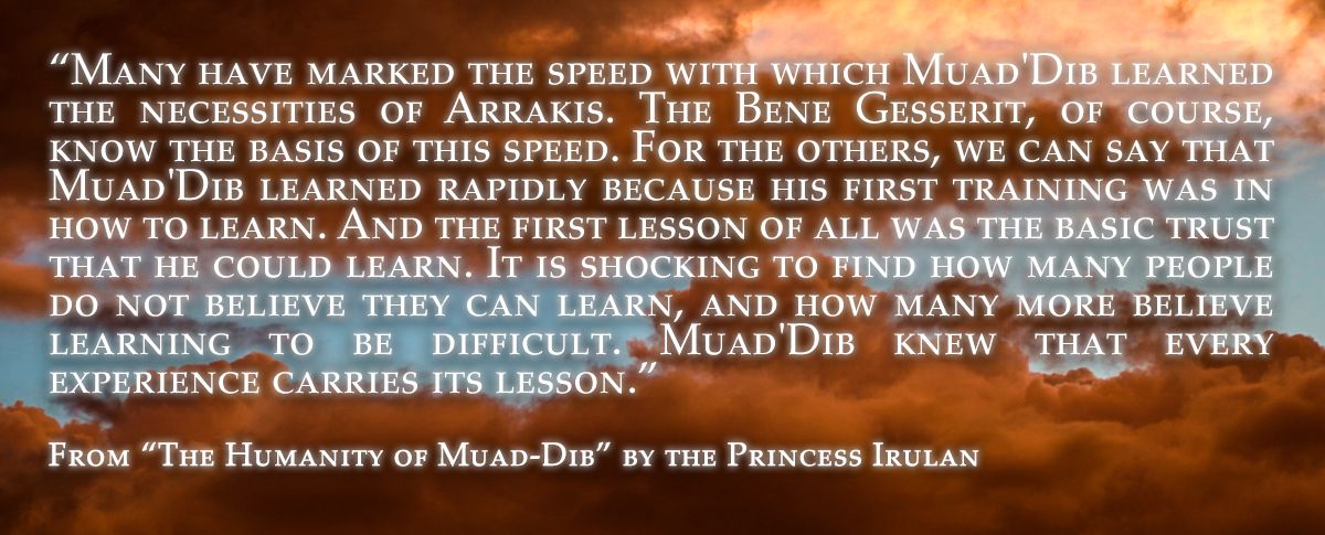 Muad-Dib Learning.jpg