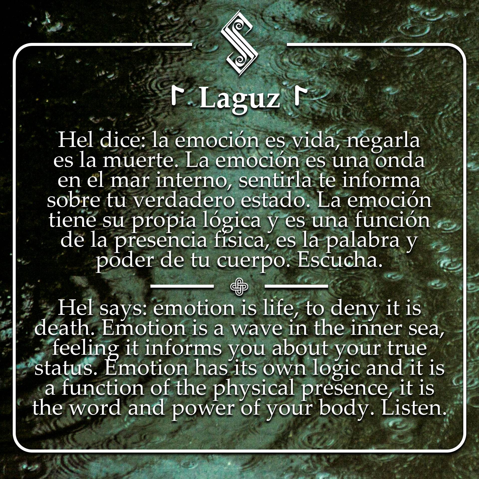 Laguz 08 07 25Artwork.jpg