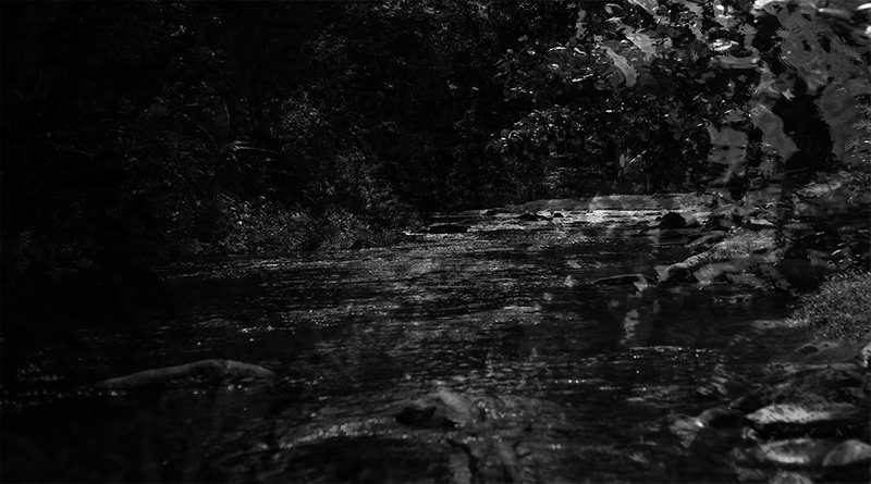 River of Dark.jpg