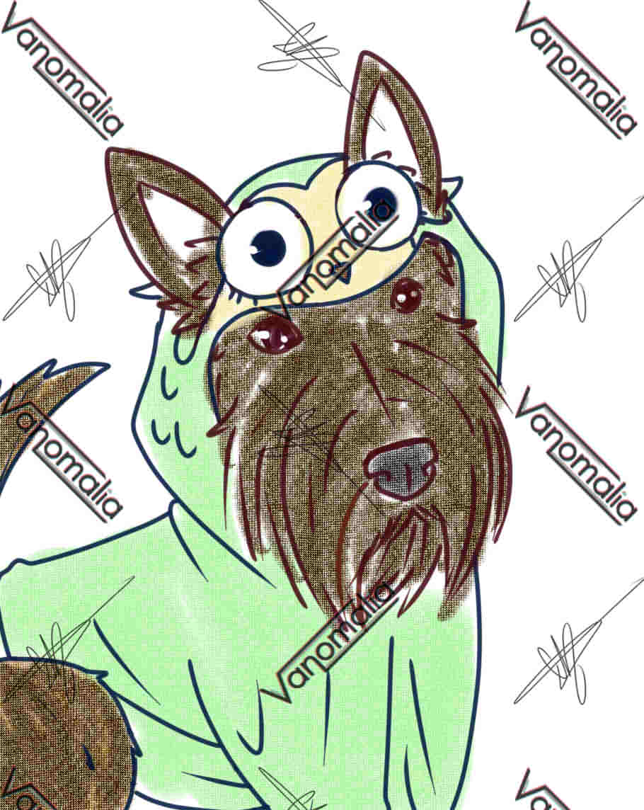 scottie 1.jpg
