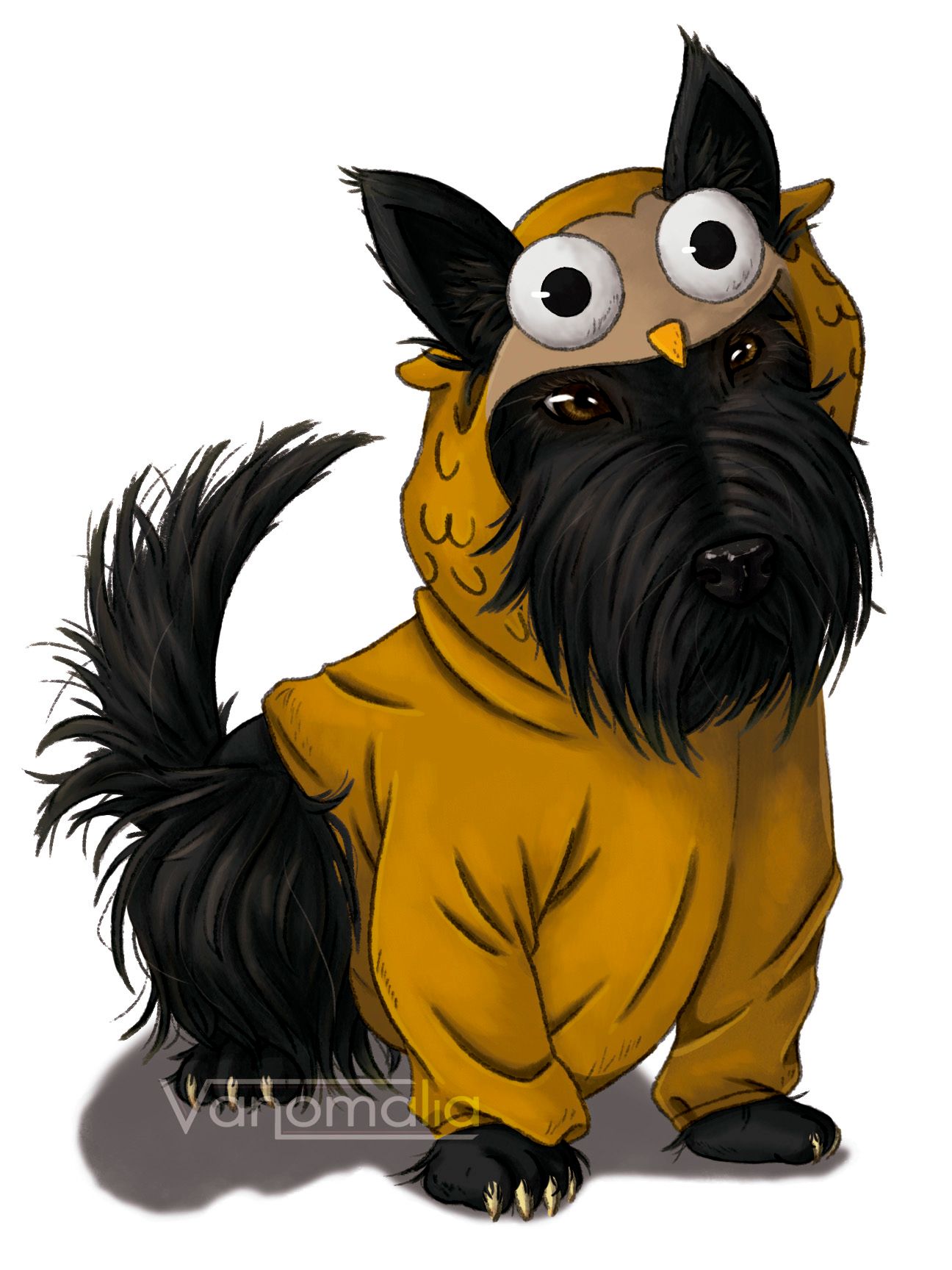 scottie final mio.jpg