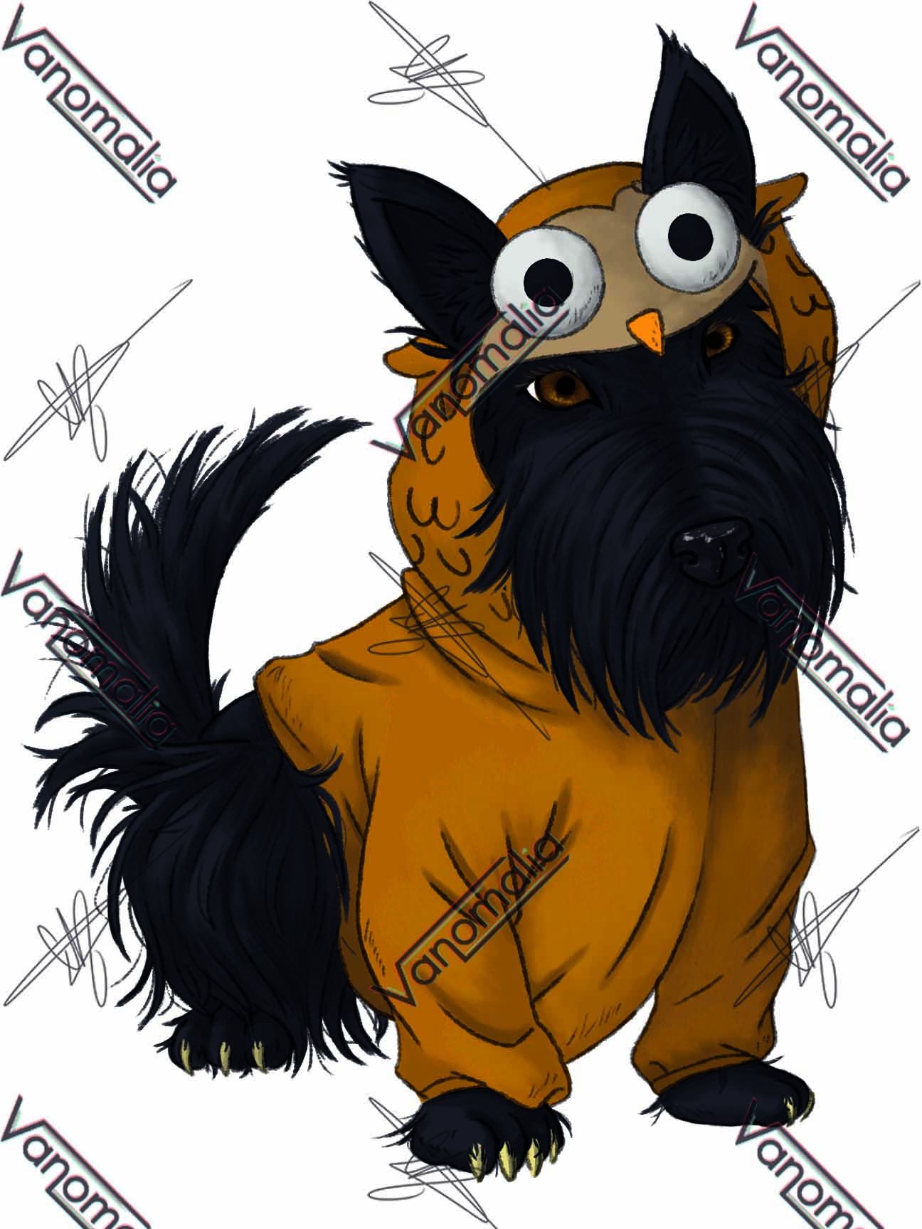 scottie 4.jpg