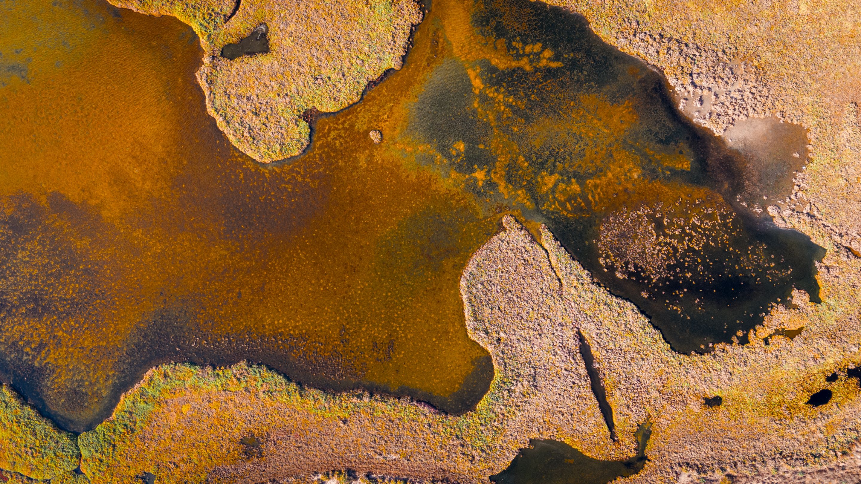 DJI_20240921091845_0007_D.jpg