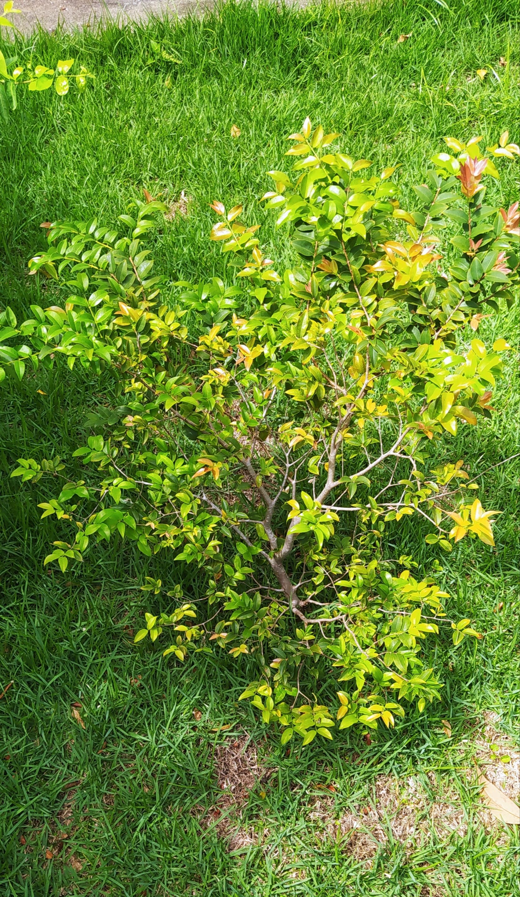IMG_20240106_095939.jpg