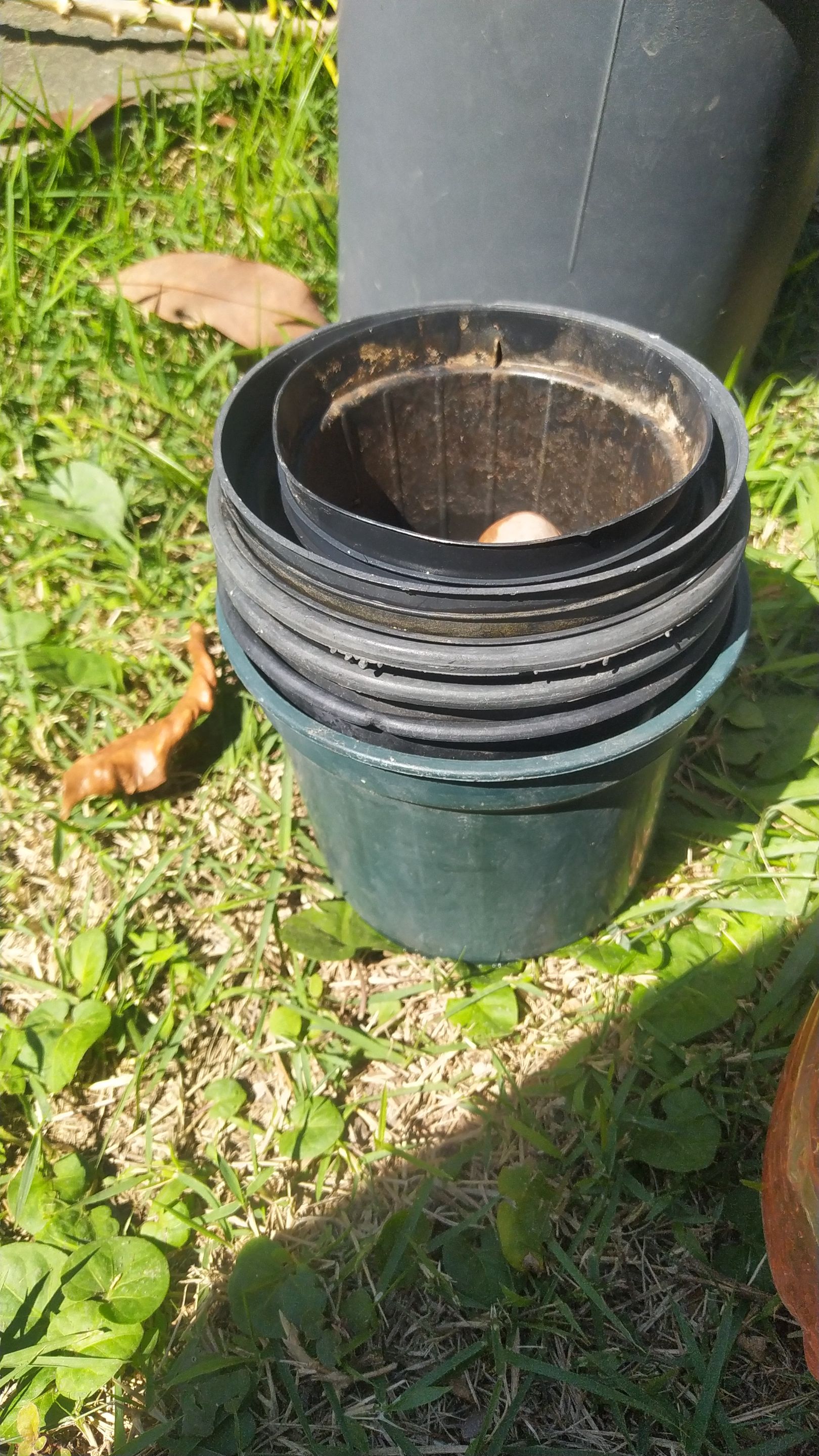 IMG-20230818-WA0011.jpeg