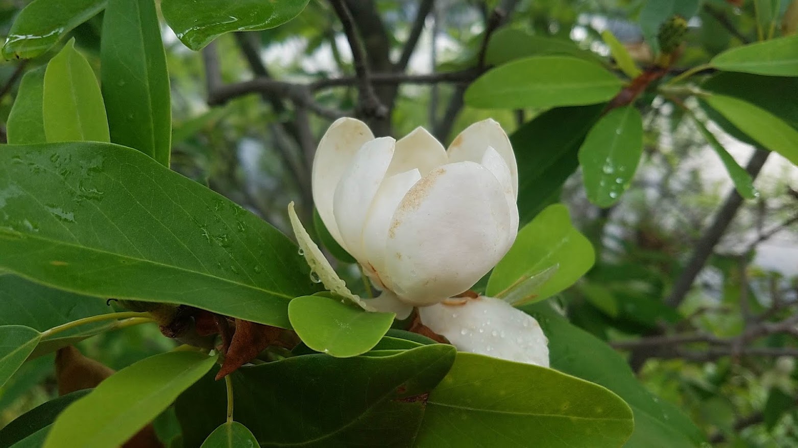 20180609_075537.jpg