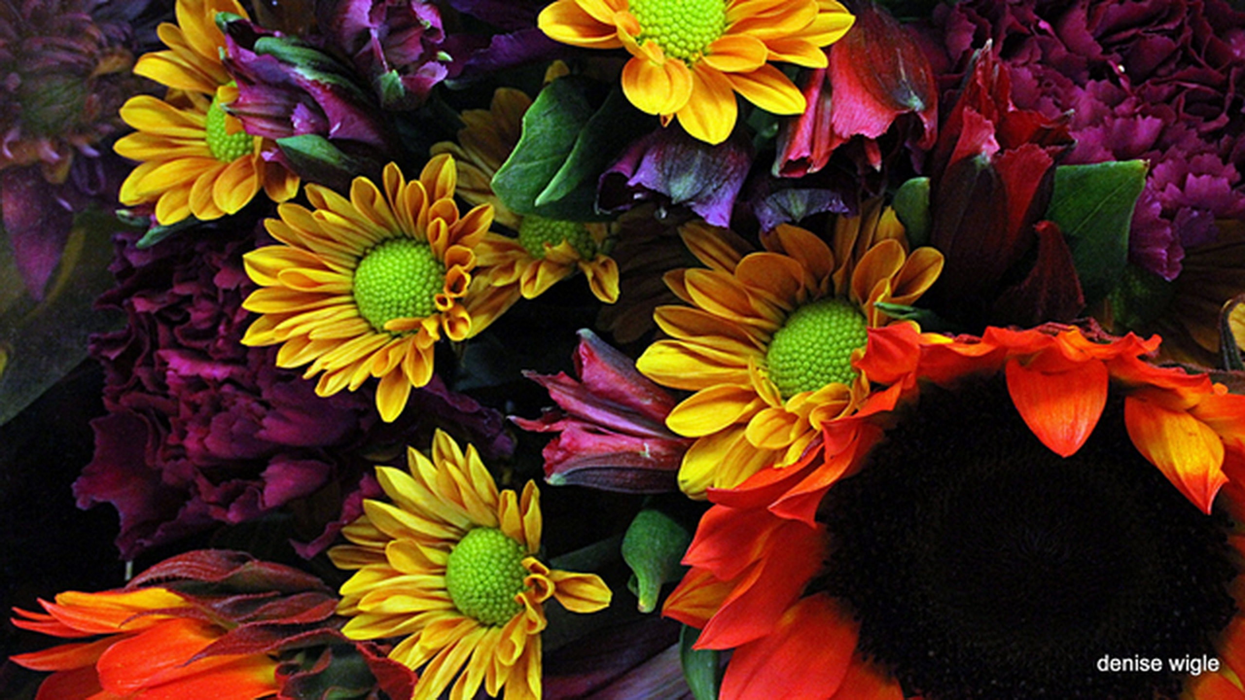 flowers in autumn.png