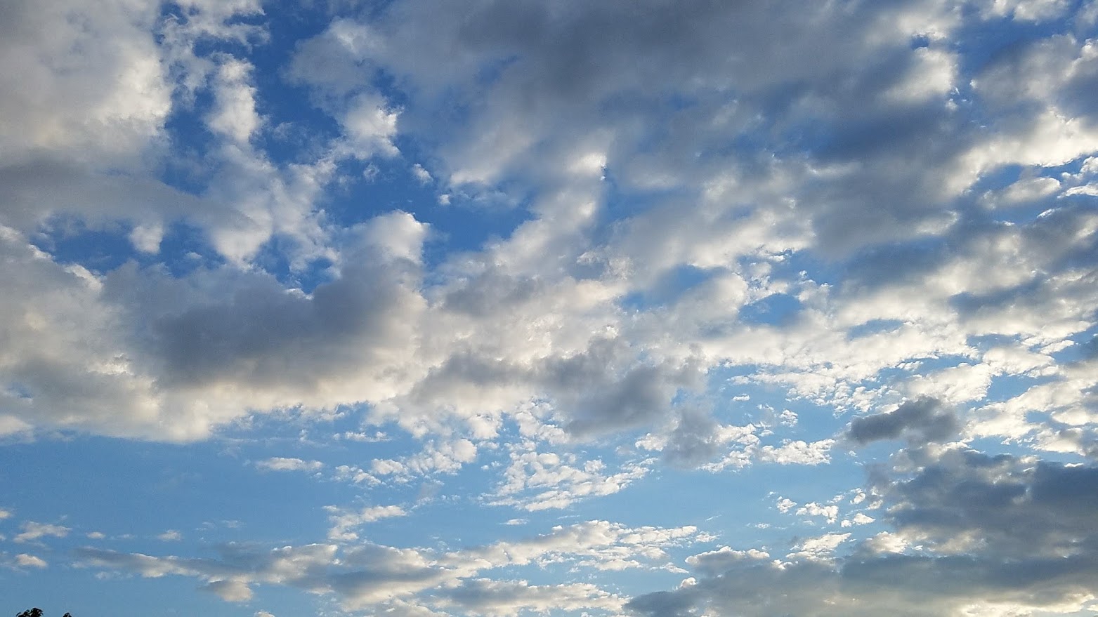 20180526_063158.jpg