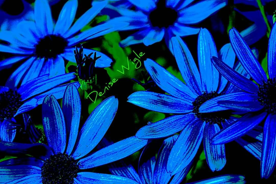 IMG-20170319-WA0002.jpg