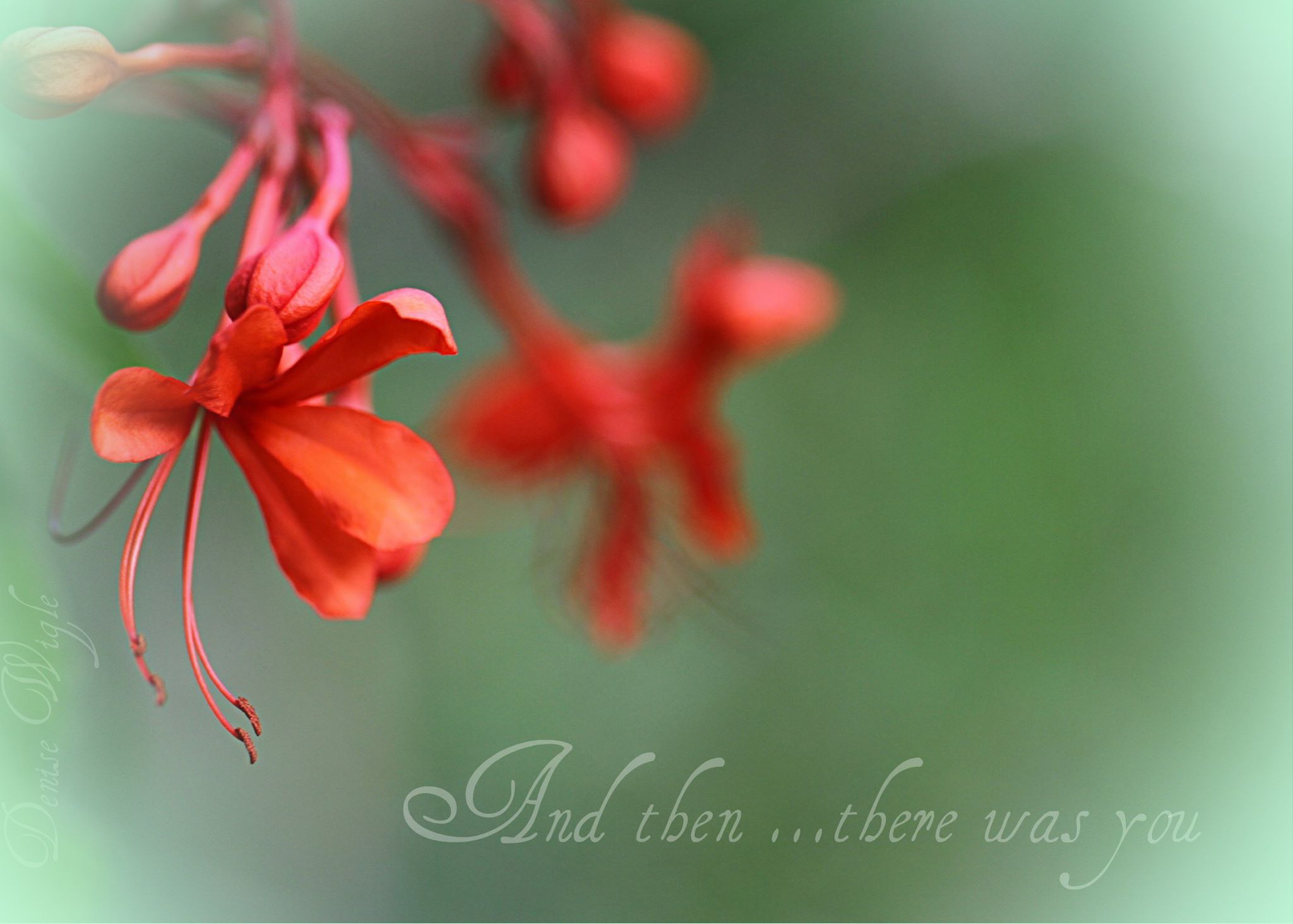 then there was you.jpg