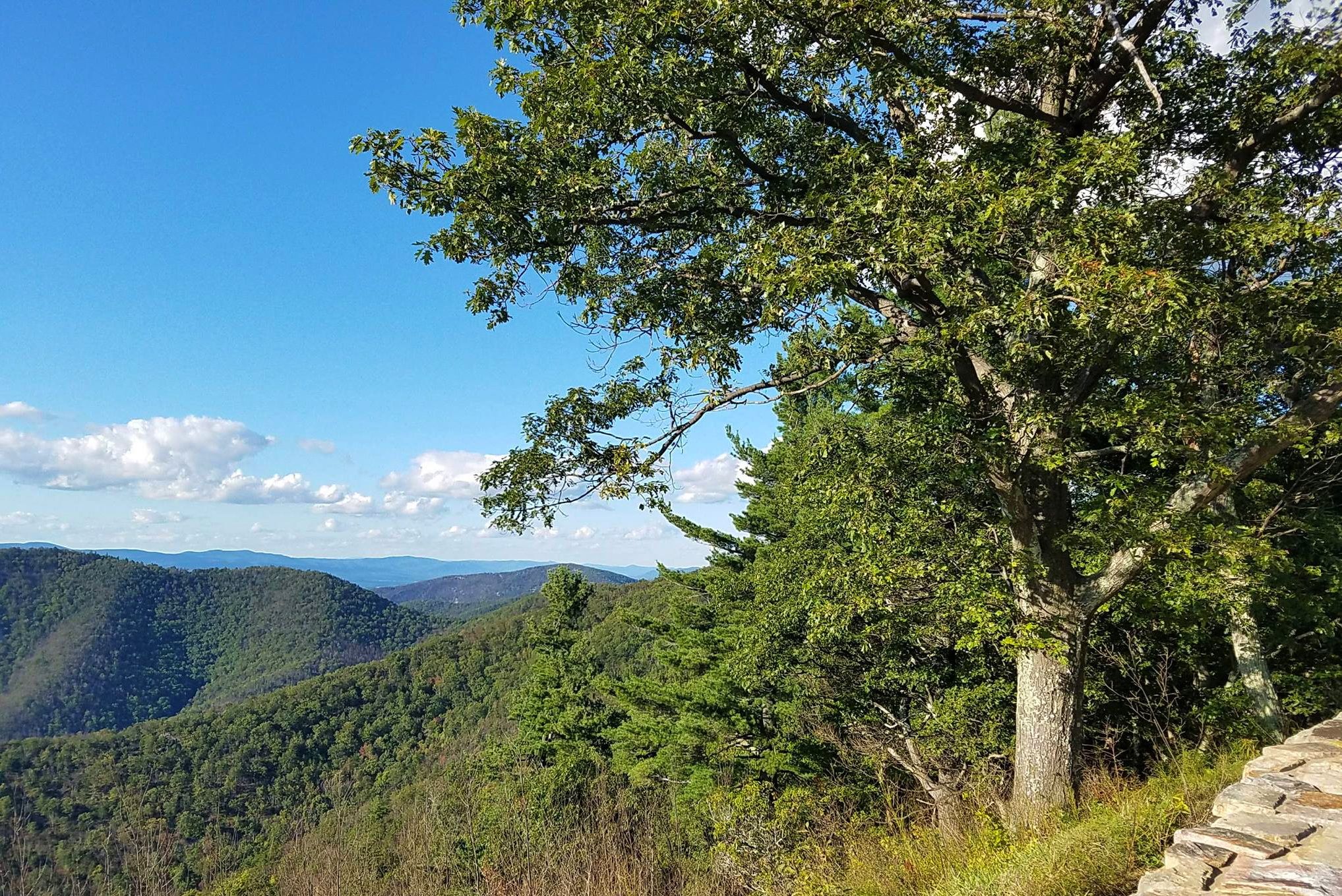 Scenic overlook VA.jpg