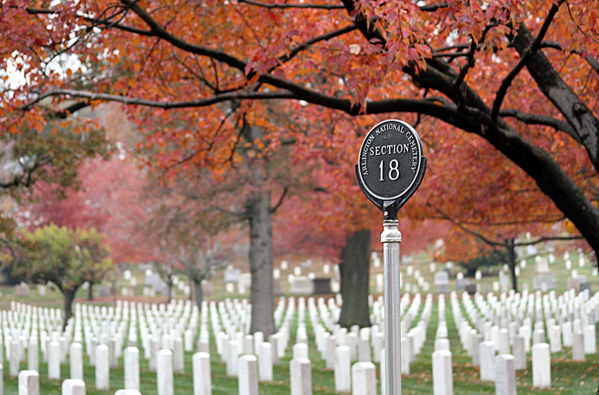 Arlington Cemetery.jpg