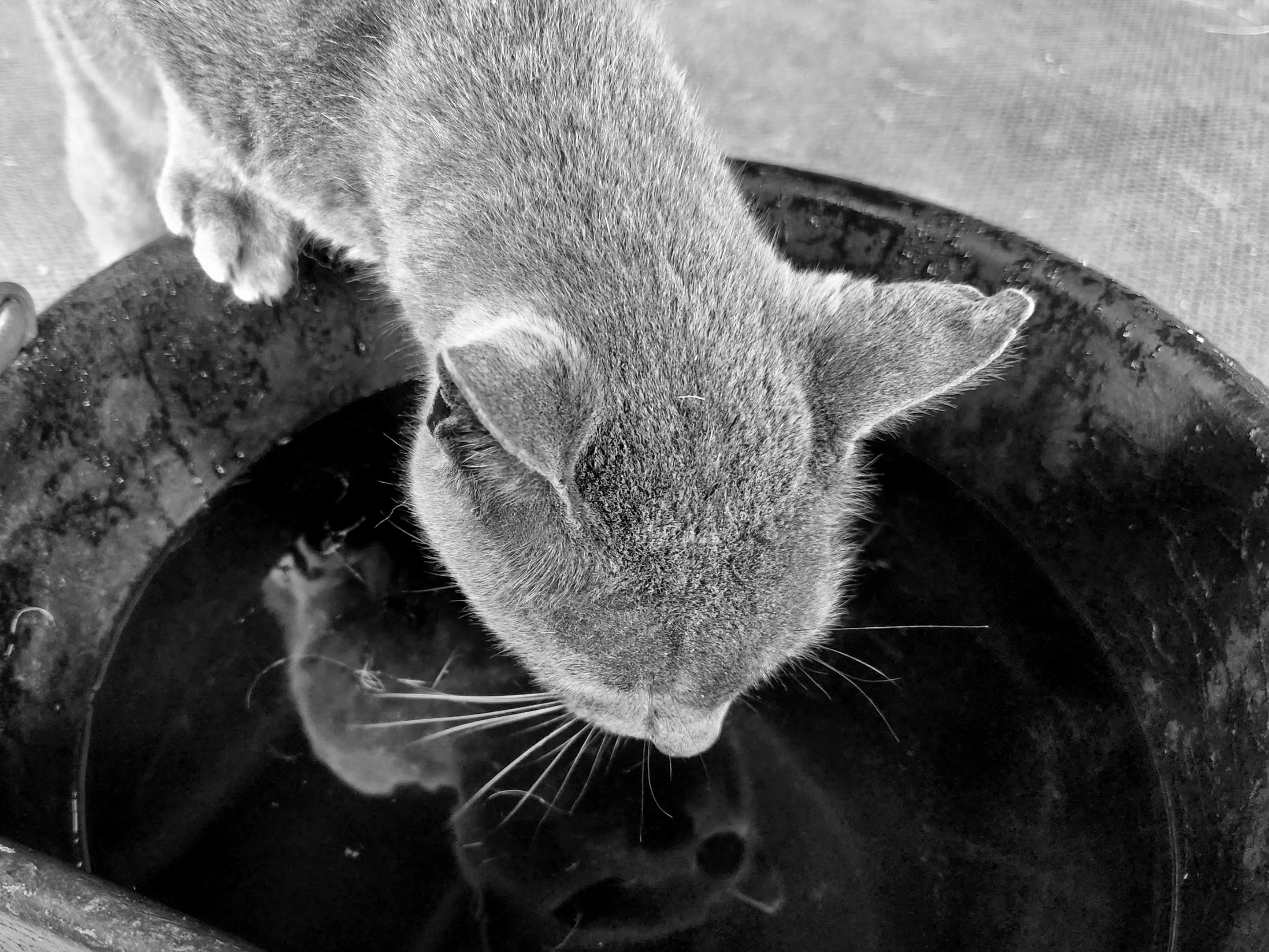 20220521_155102 a.jpg