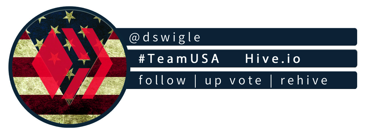 TEAMUSAhive_dswigle 2.jpg