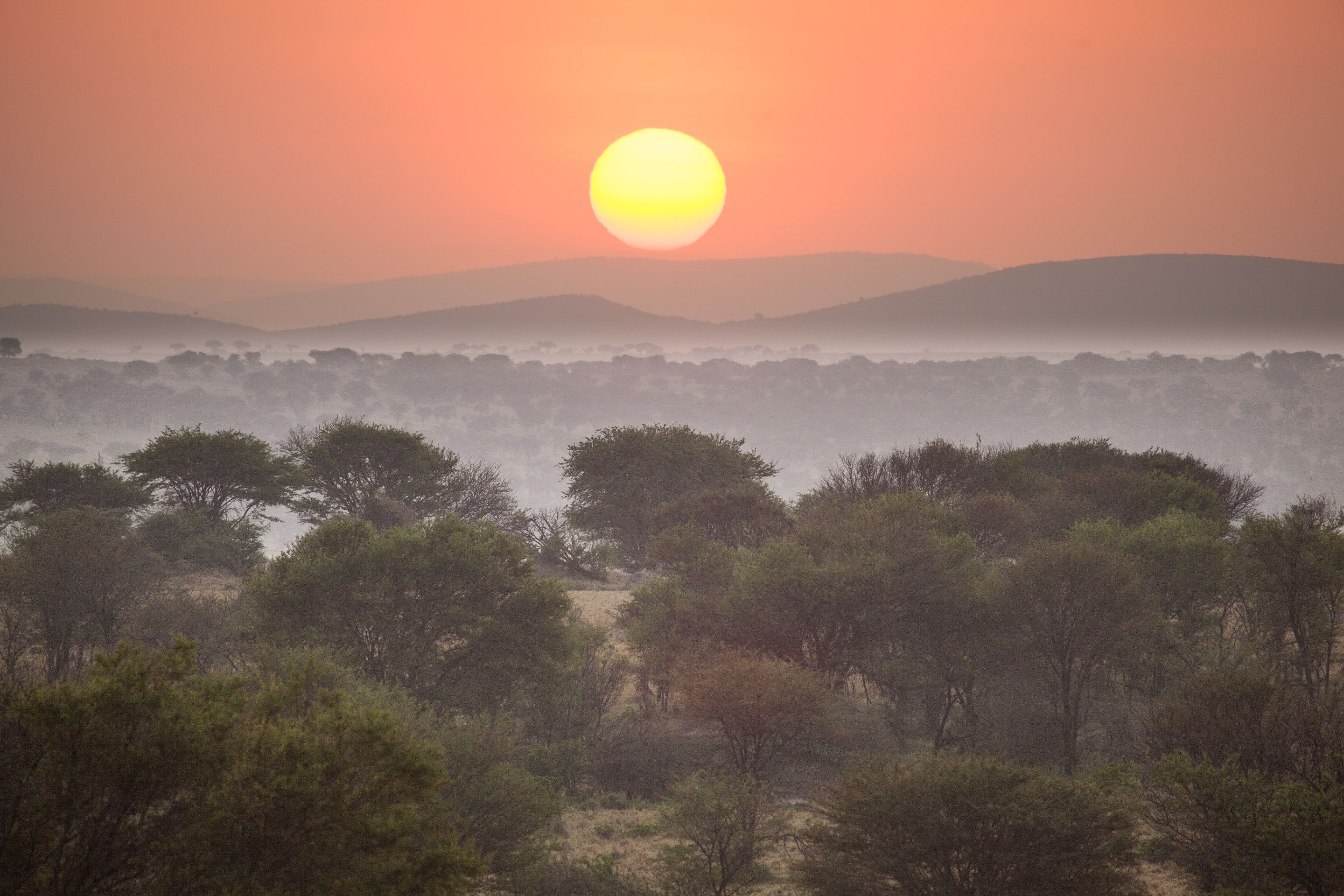 Day 6 Serengeti (2 of 62).jpg