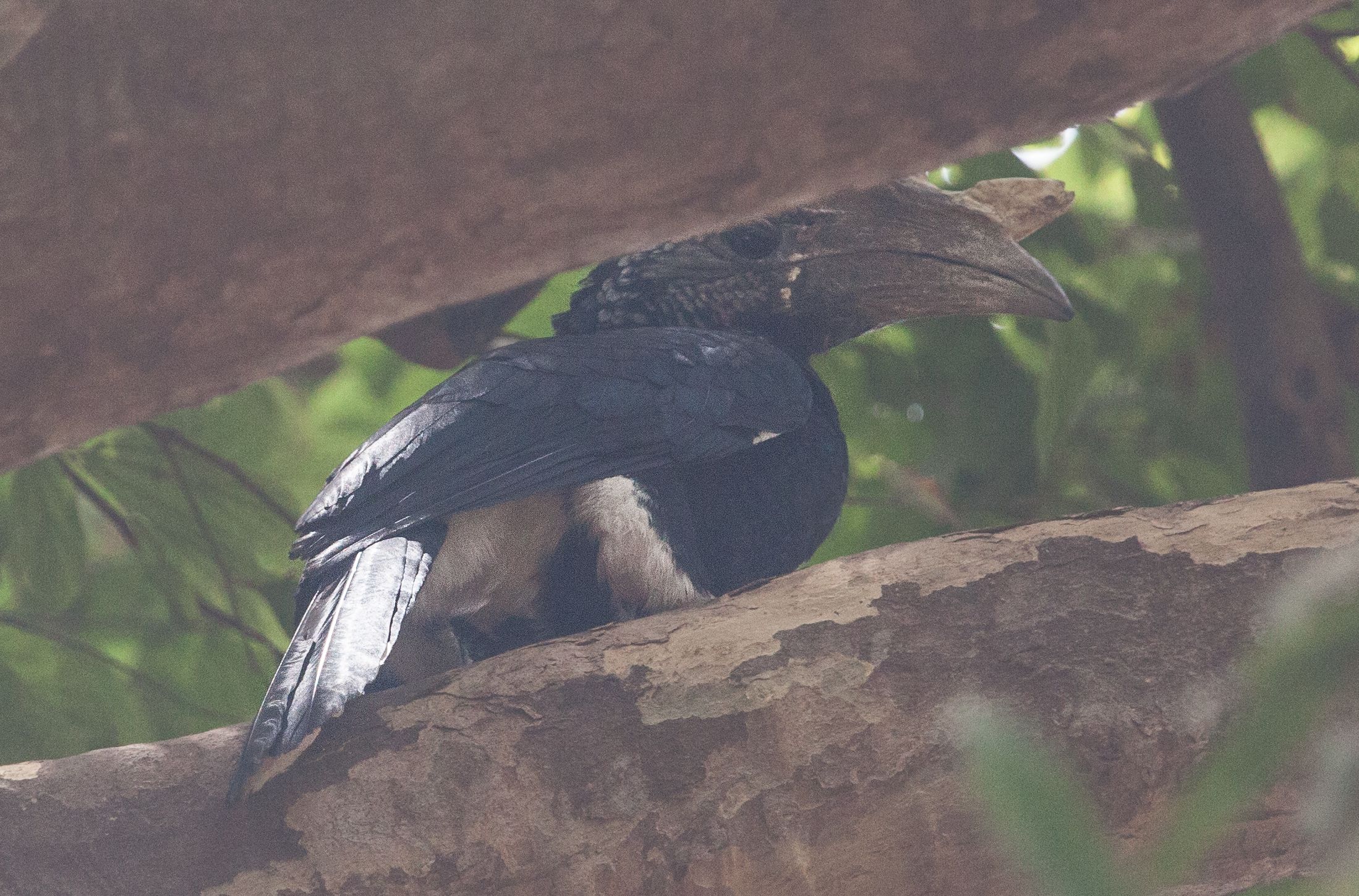 Day 7 Lake Manyara (38 of 103).jpg