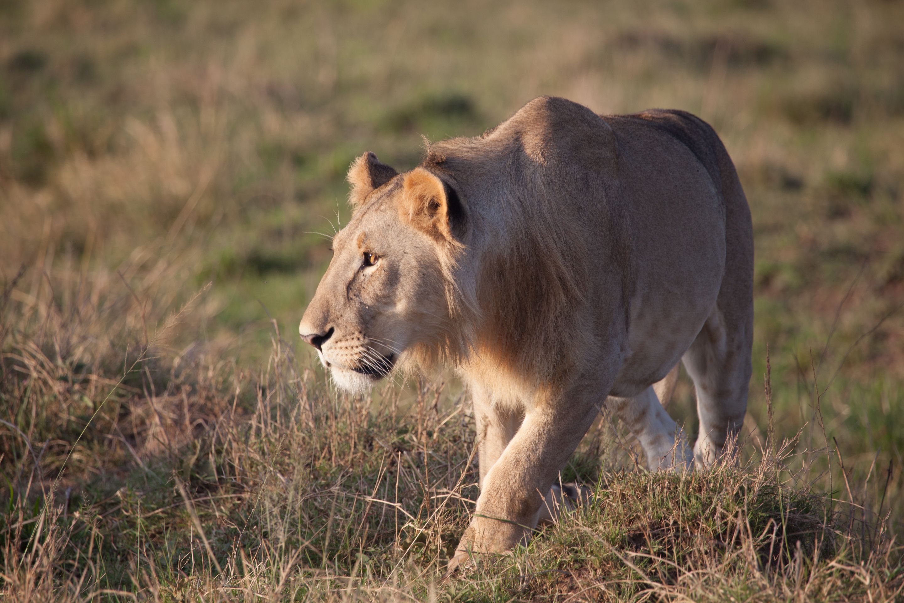 Day 2 Mara (42 of 117).jpg