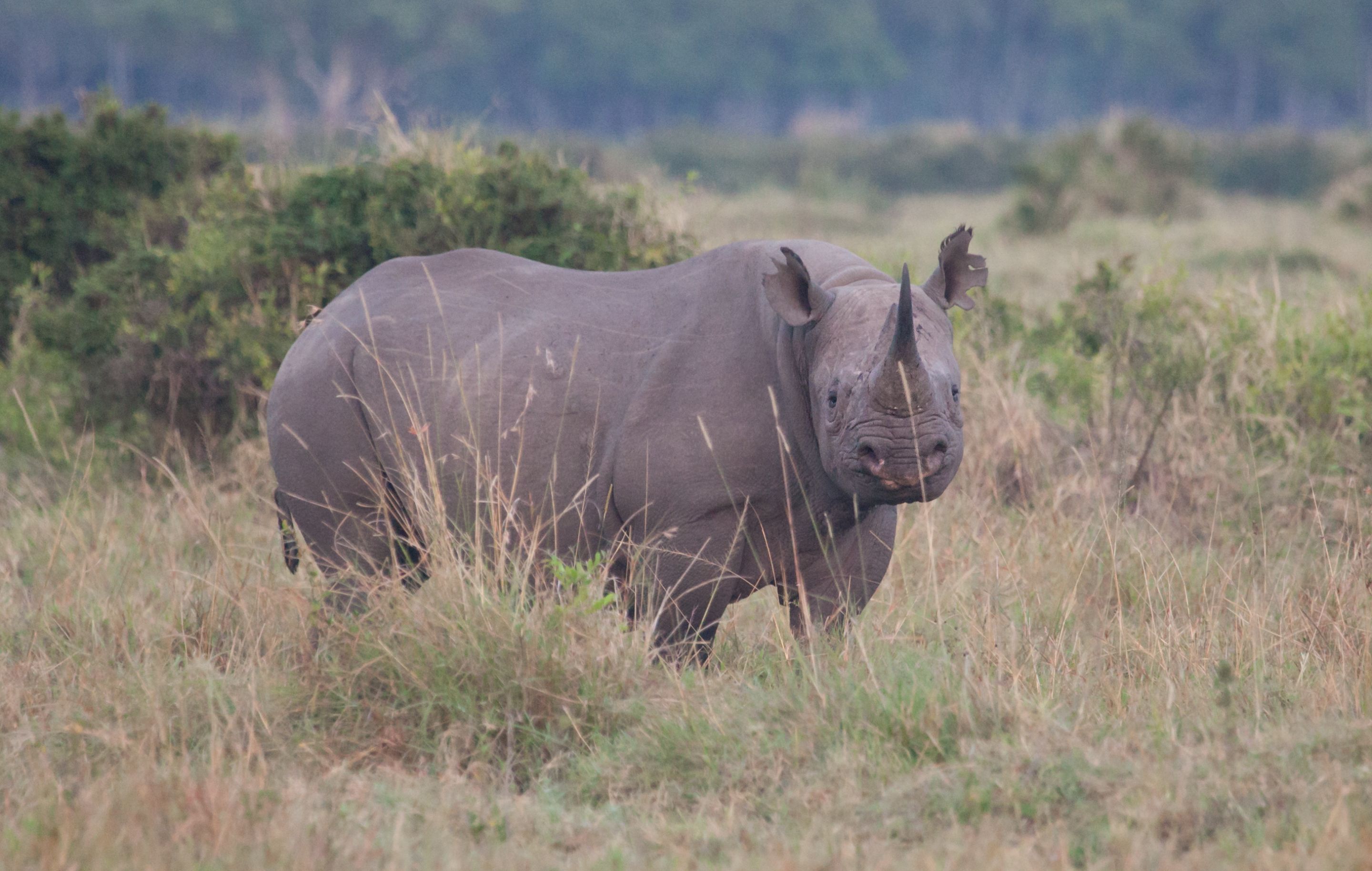 Day 2 Mara (2 of 117).jpg