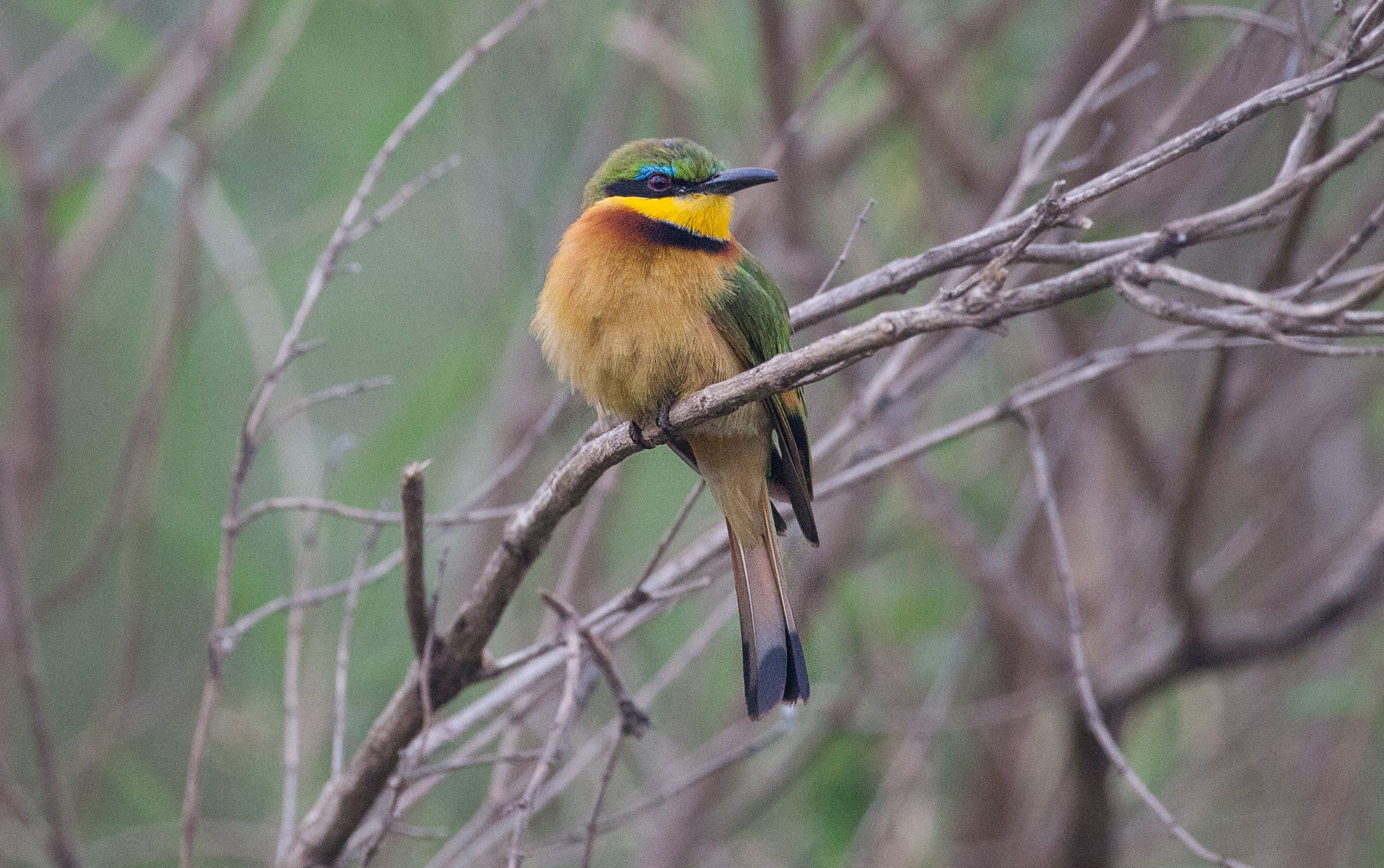 Day 4 Mara (2 of 87).jpg