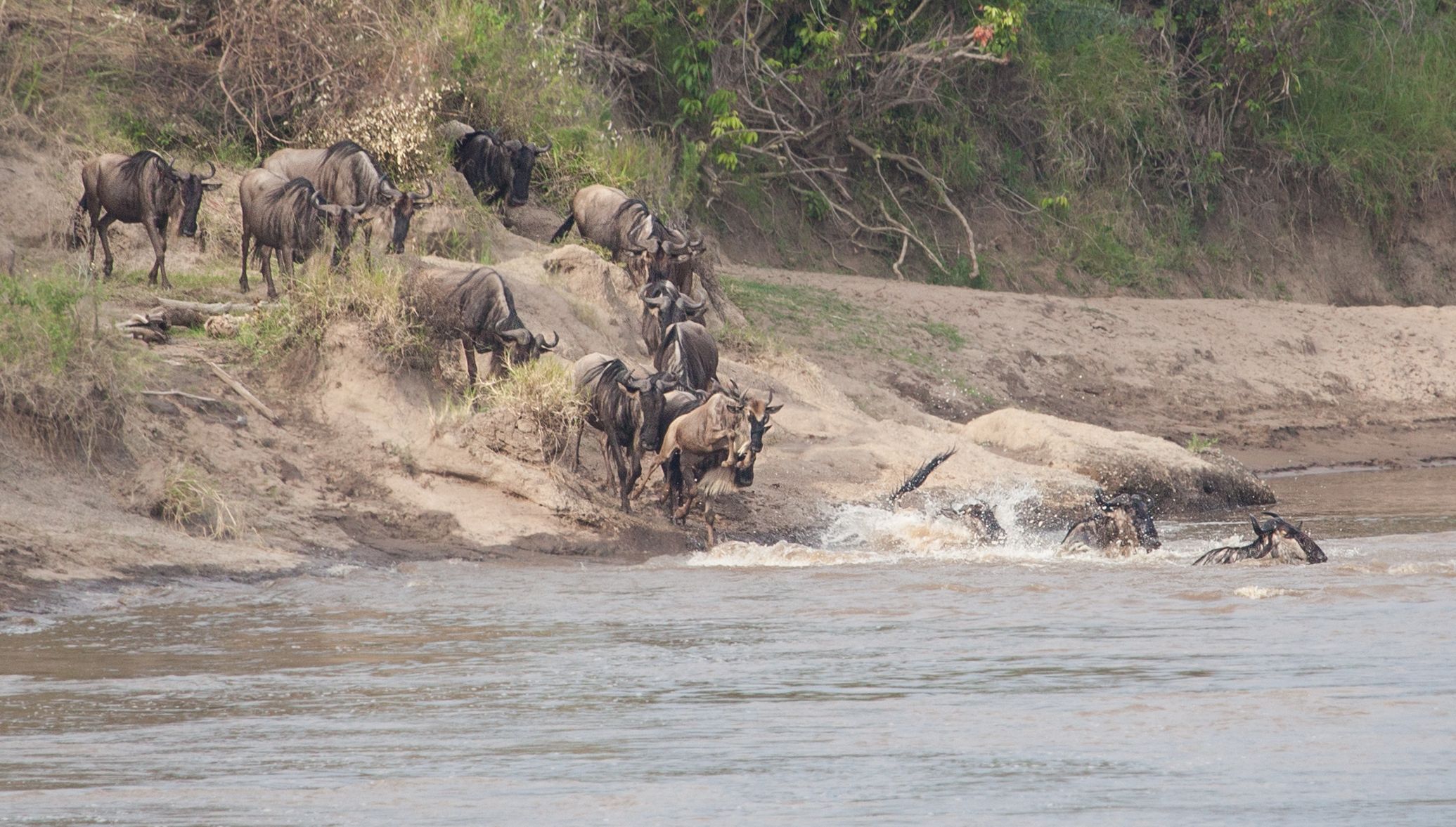 Day 5 Serengeti (22 of 65).jpg
