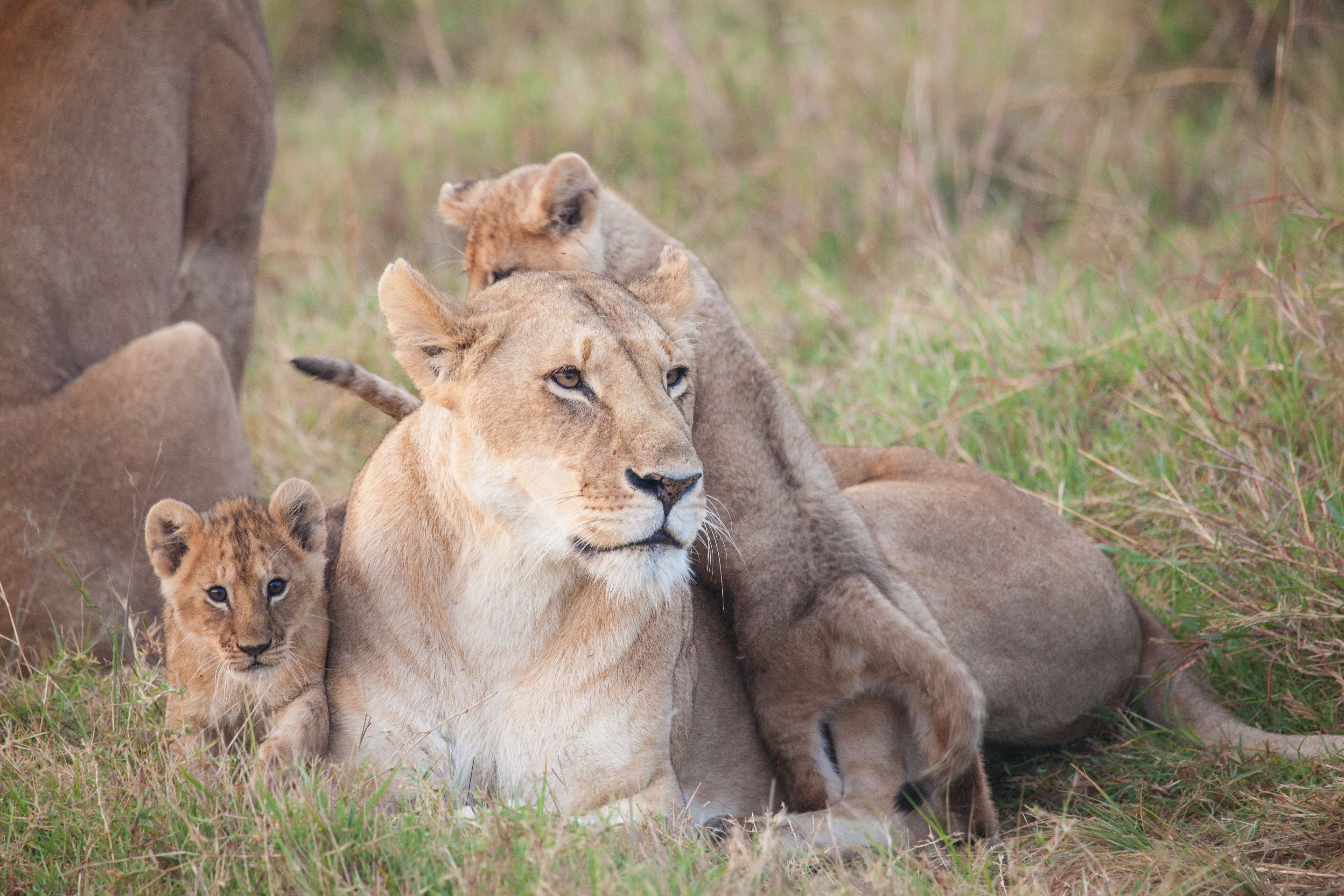 Day 2 Mara (10 of 117).jpg