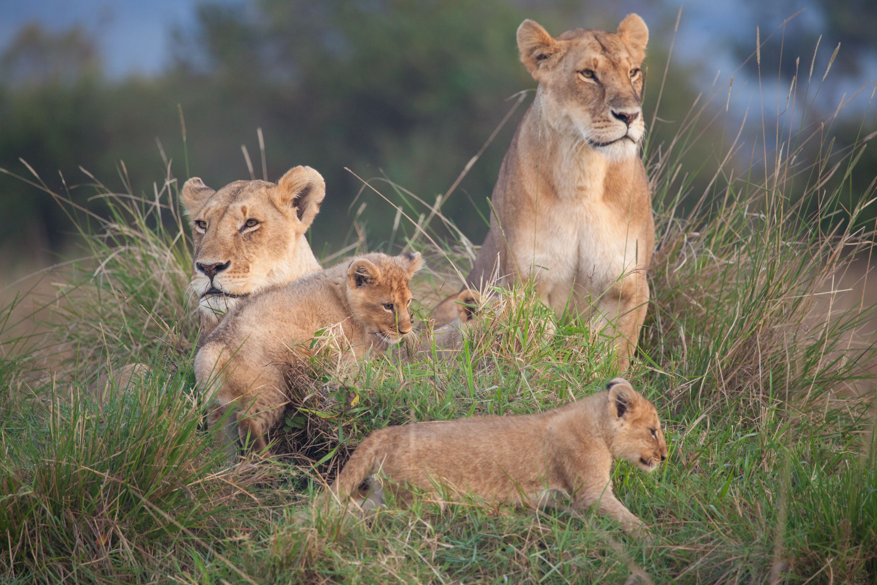 Day 2 Mara (20 of 117).jpg