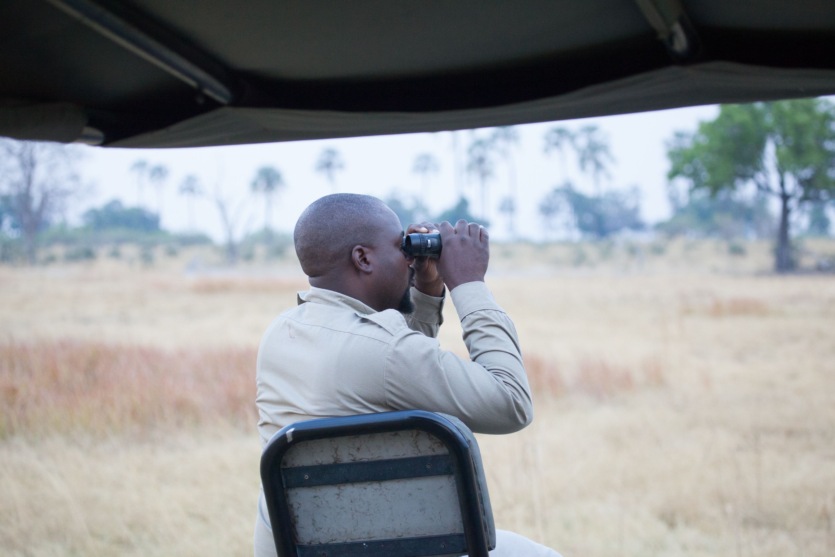 Day 17 Okavango Sandibe (52 of 85).jpg