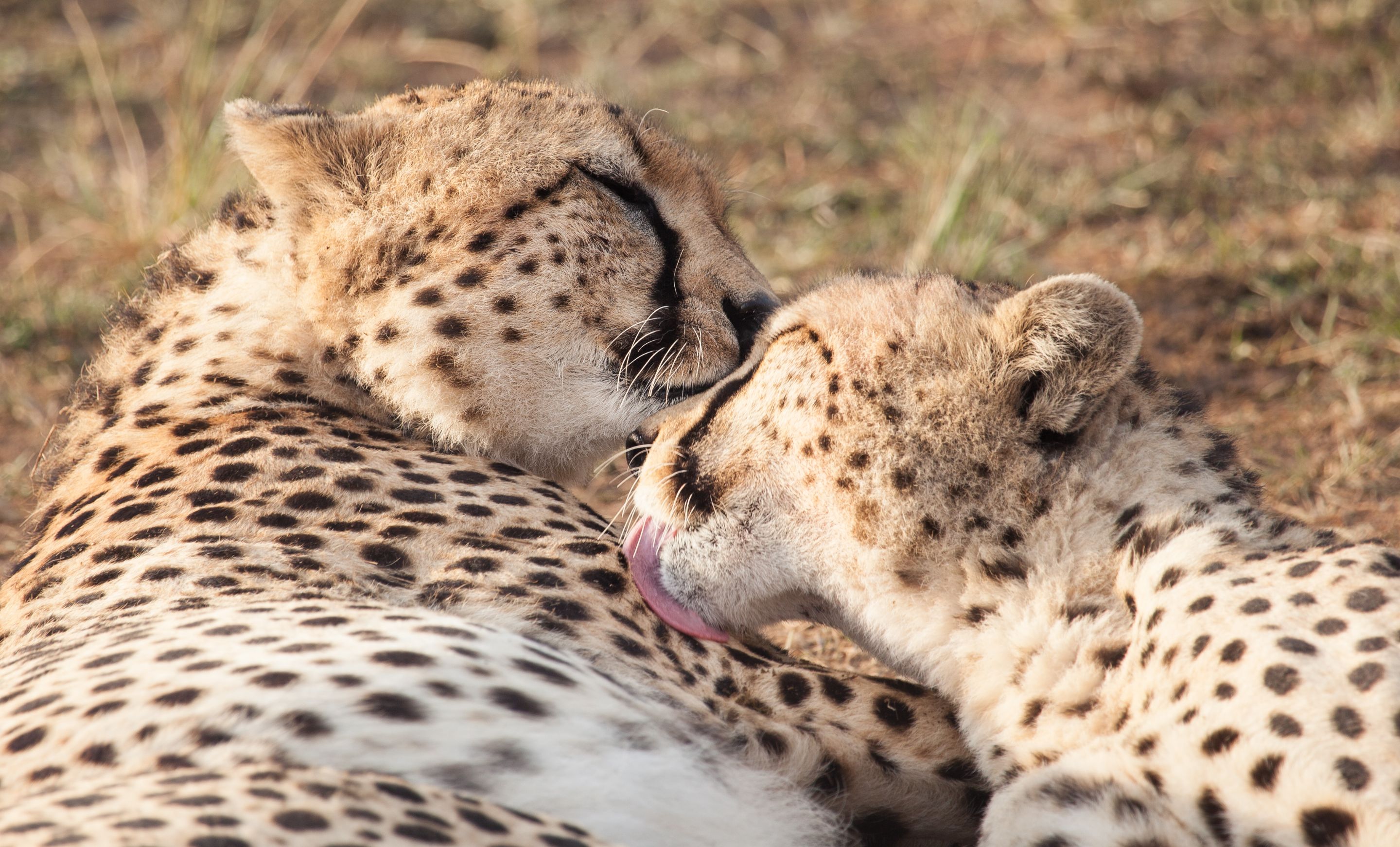 Day 4 Mara (12 of 87).jpg