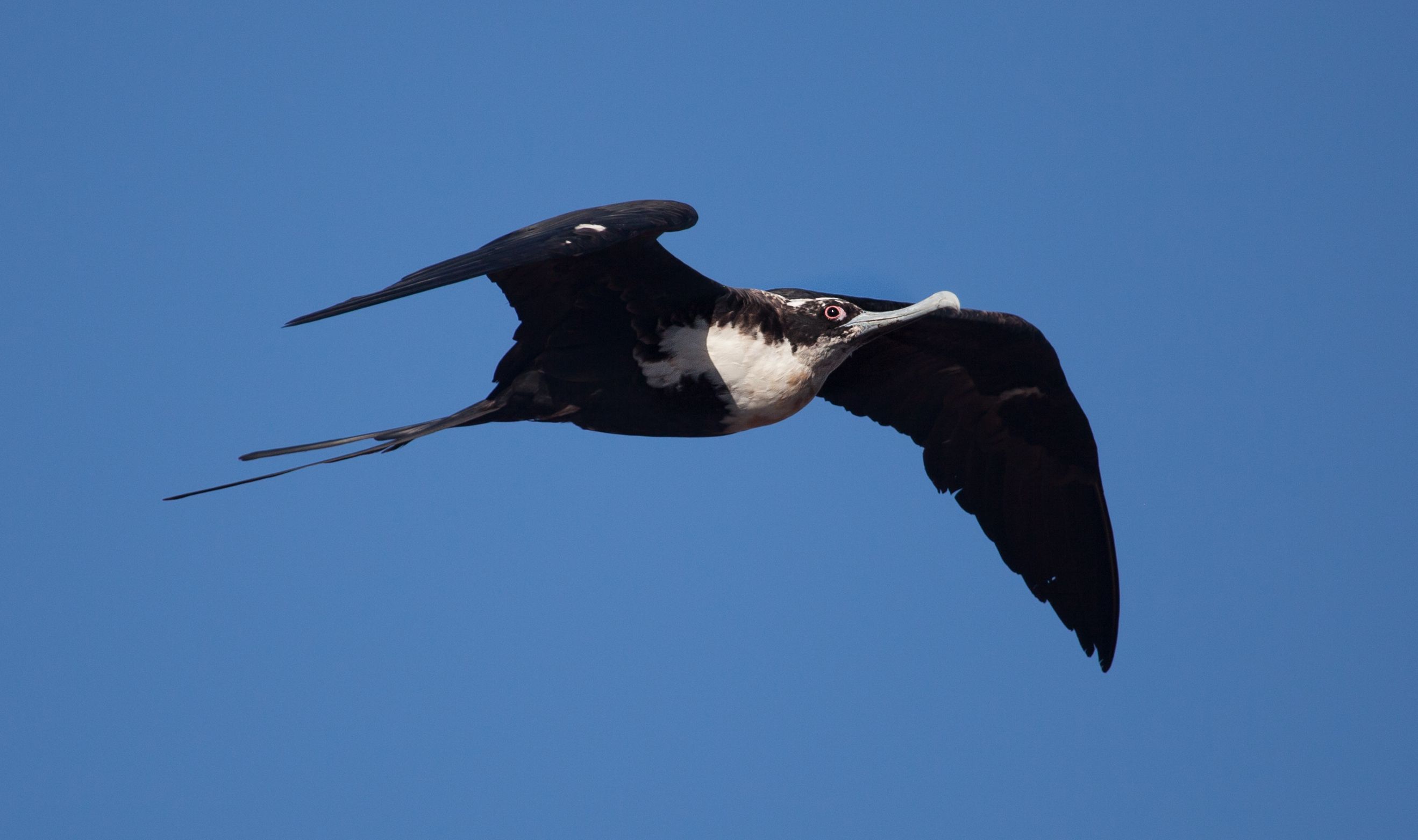 Day 1 Galapagos (18 of 18).jpg