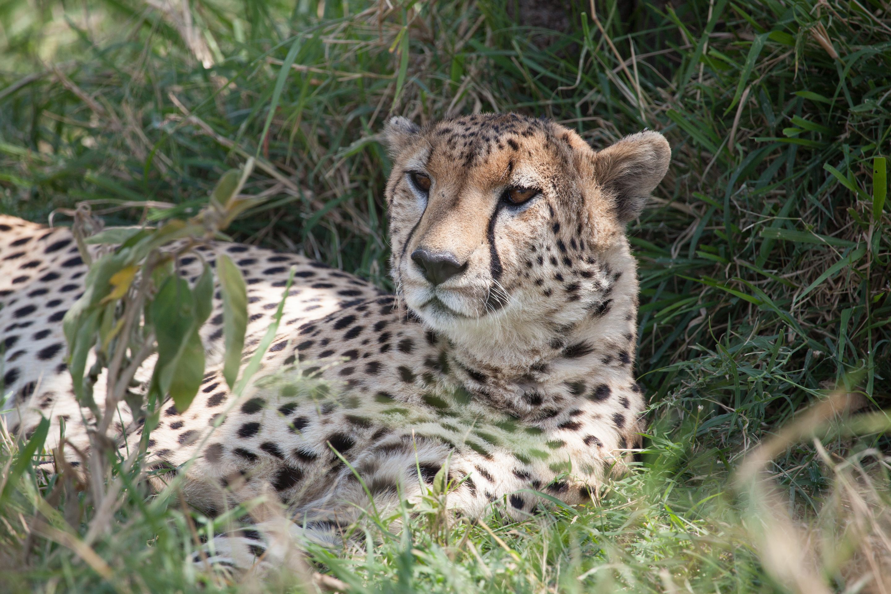 Day 2 Mara (111 of 117).jpg