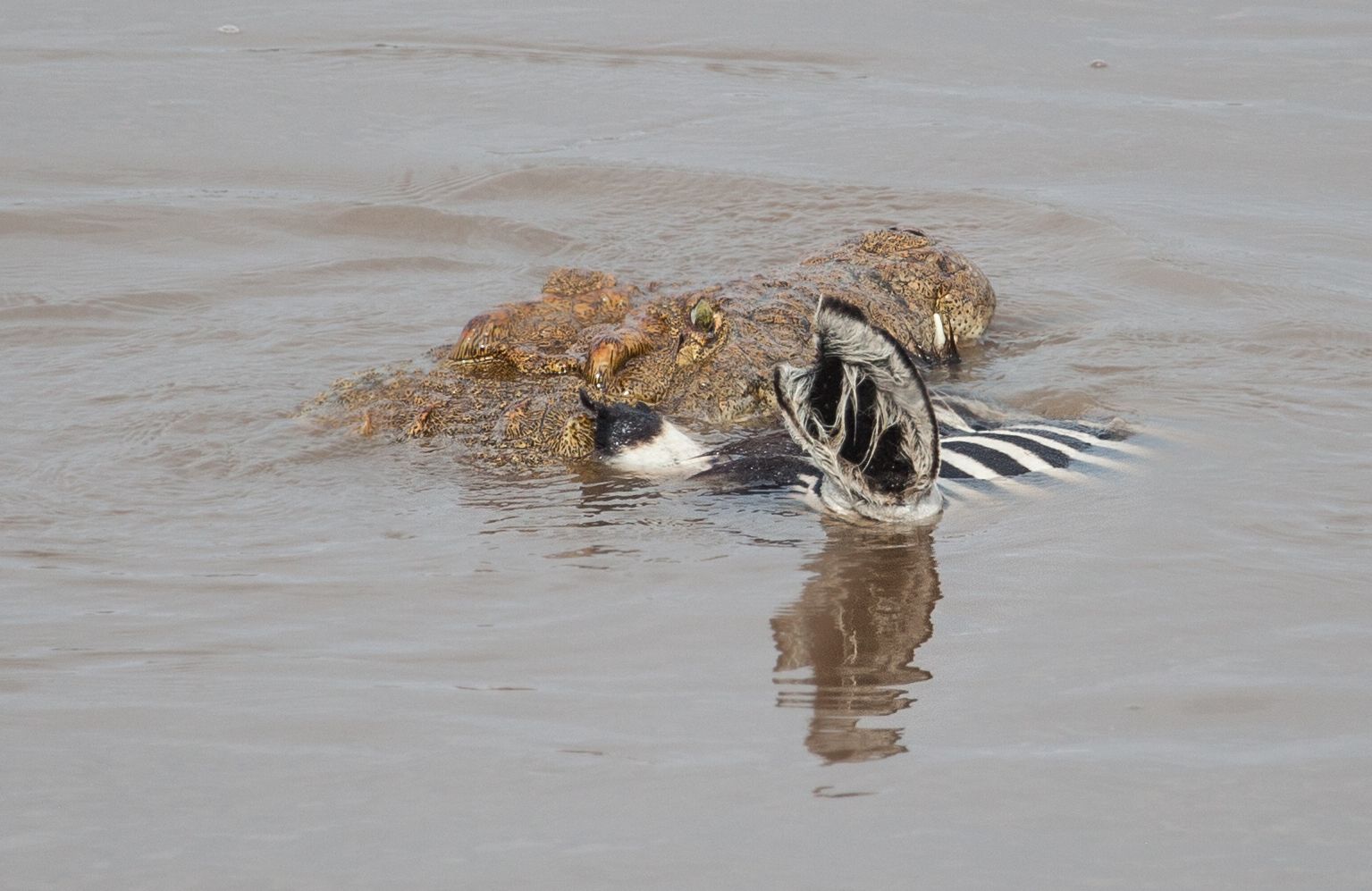Day 5 Serengeti (9 of 65).jpg