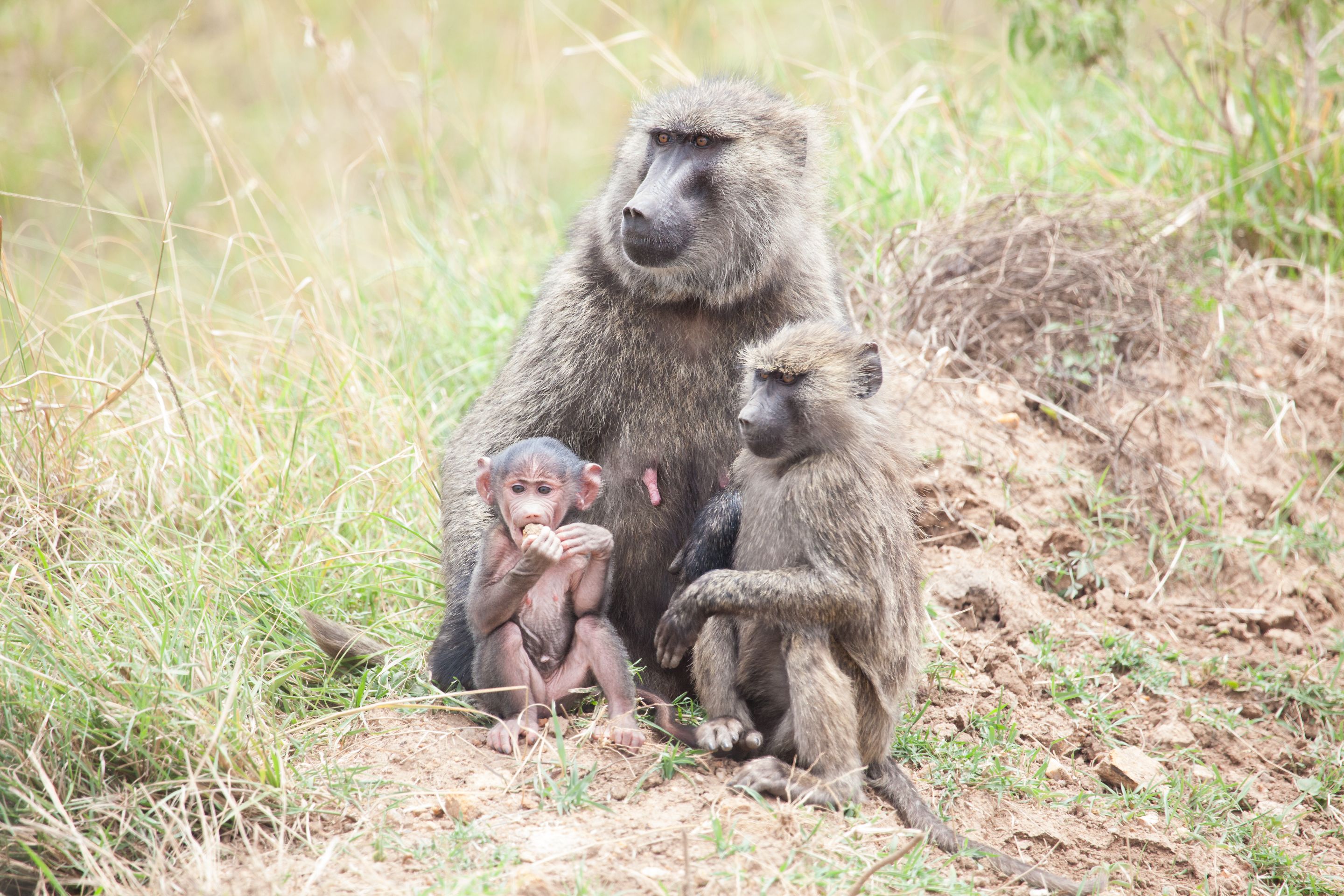 Day 3 Mara (44 of 44).jpg