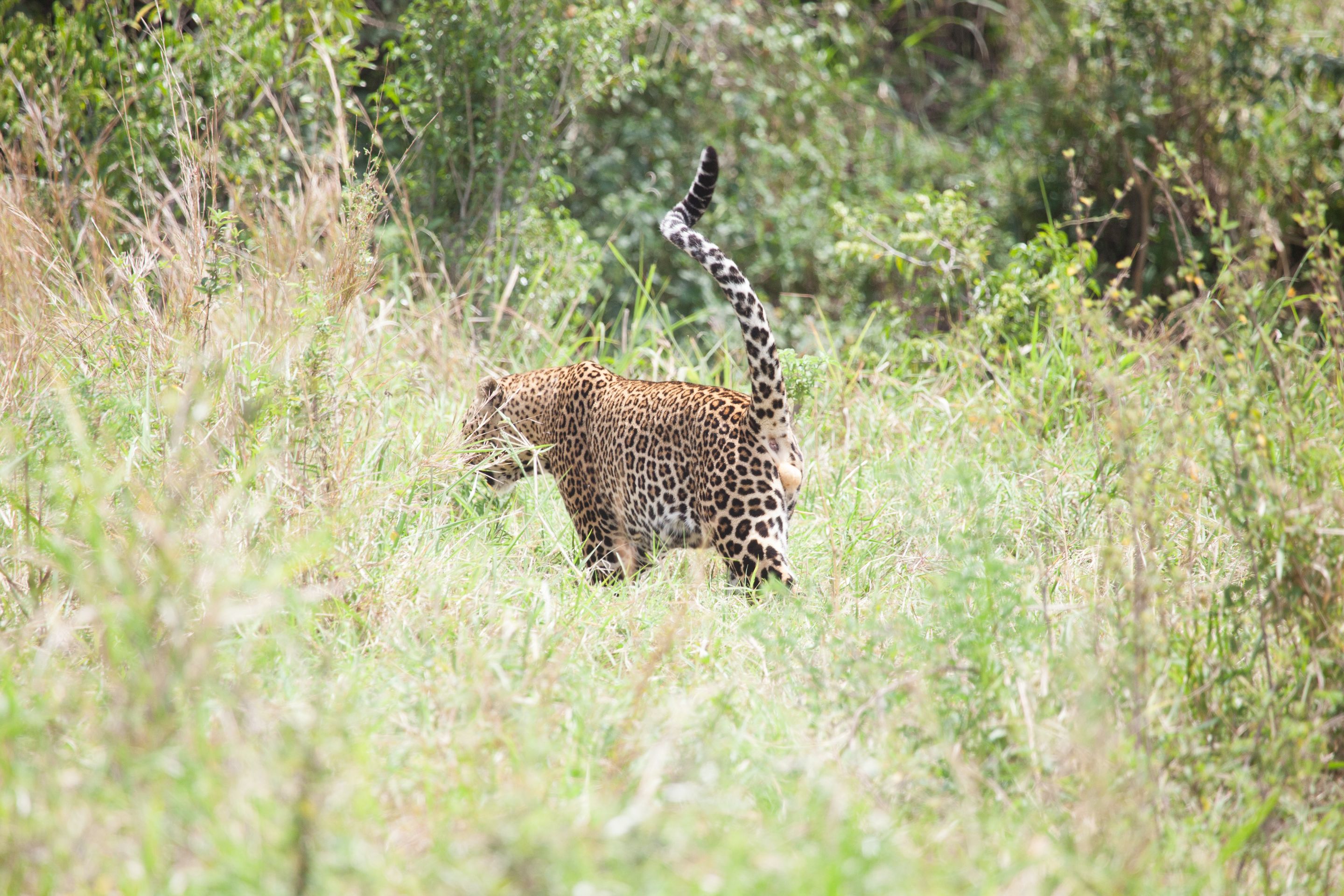 Day 2 Mara (74 of 117).jpg