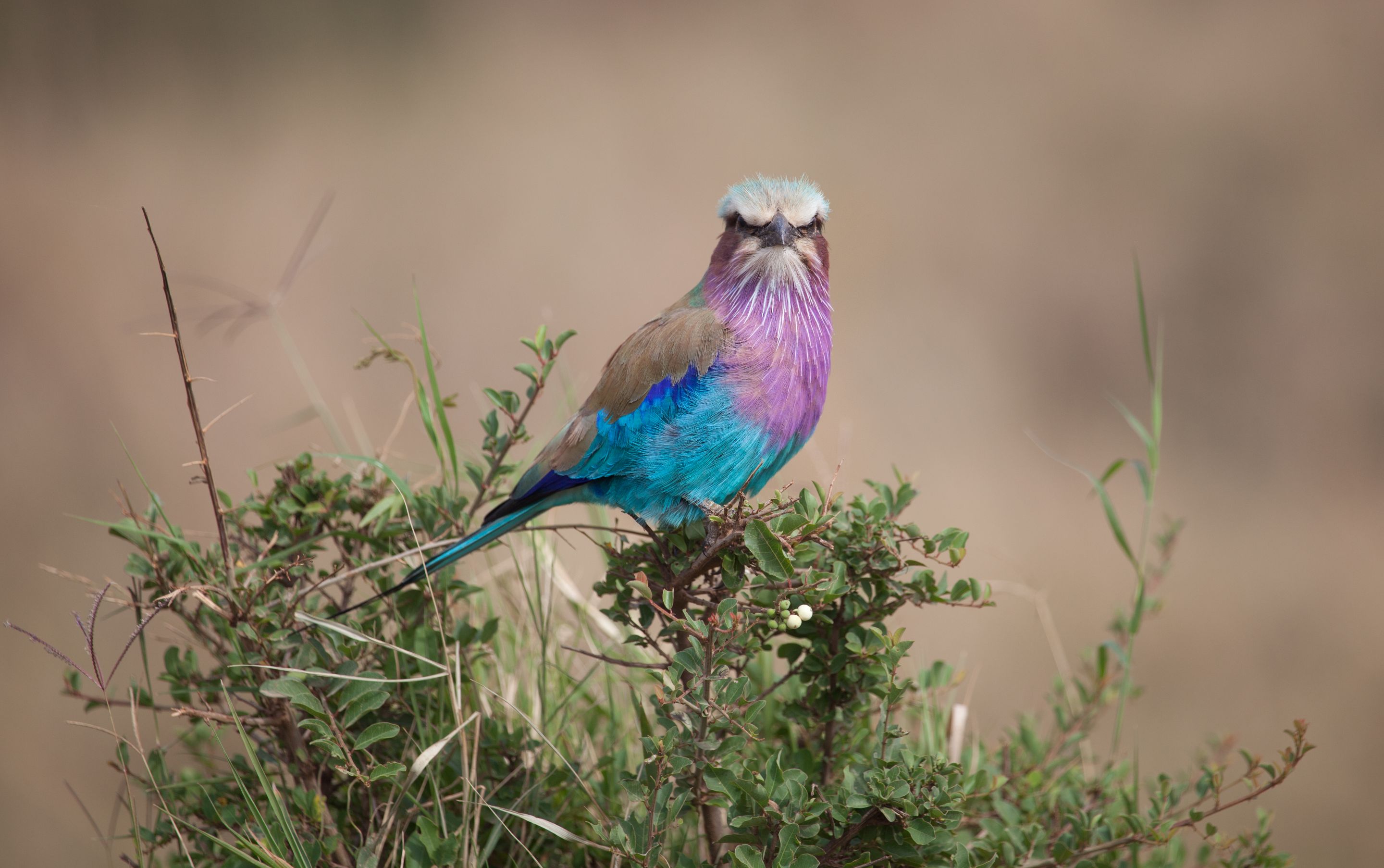 Day 3 Mara (5 of 44).jpg