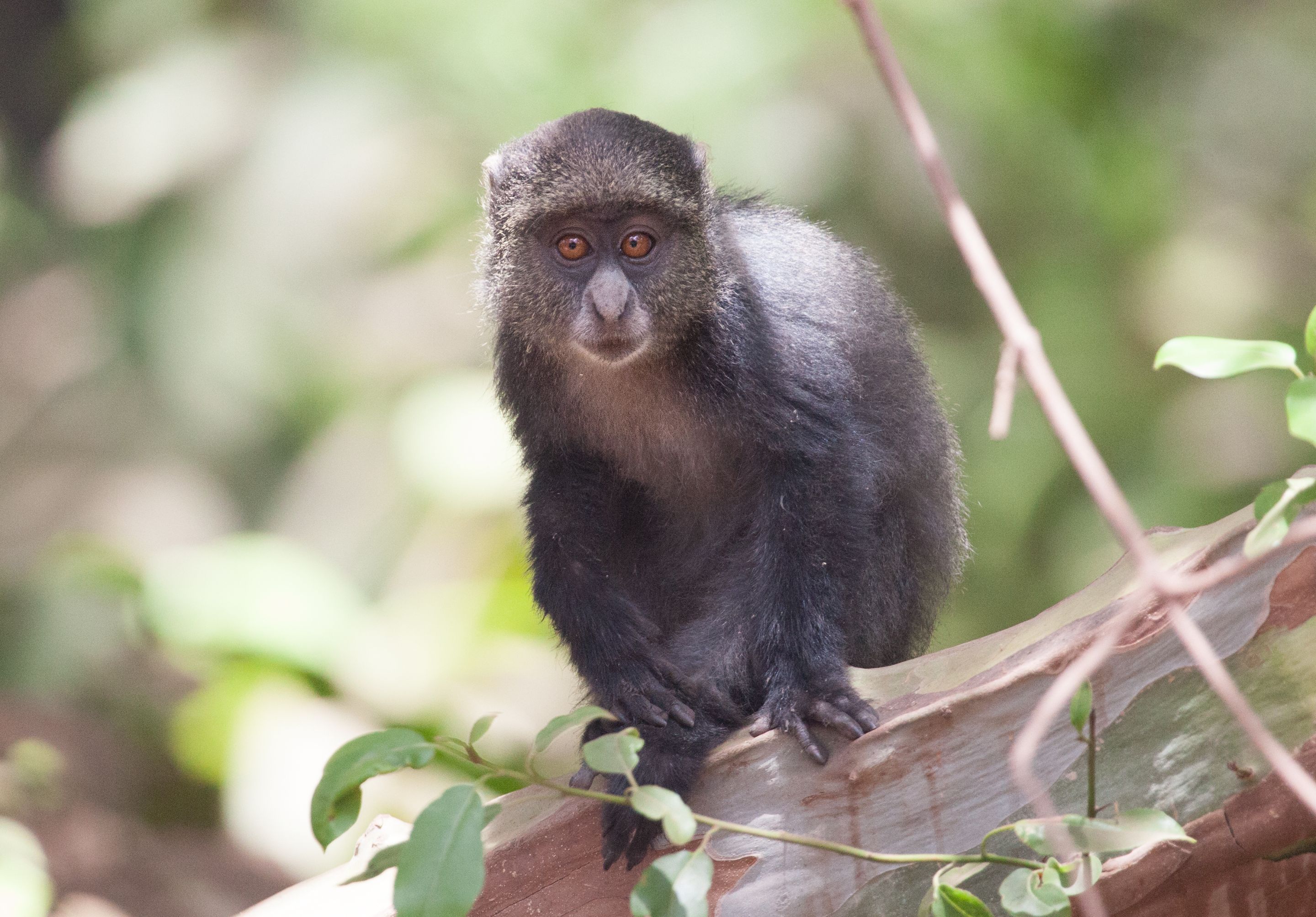 Day 7 Lake Manyara (41 of 103).jpg