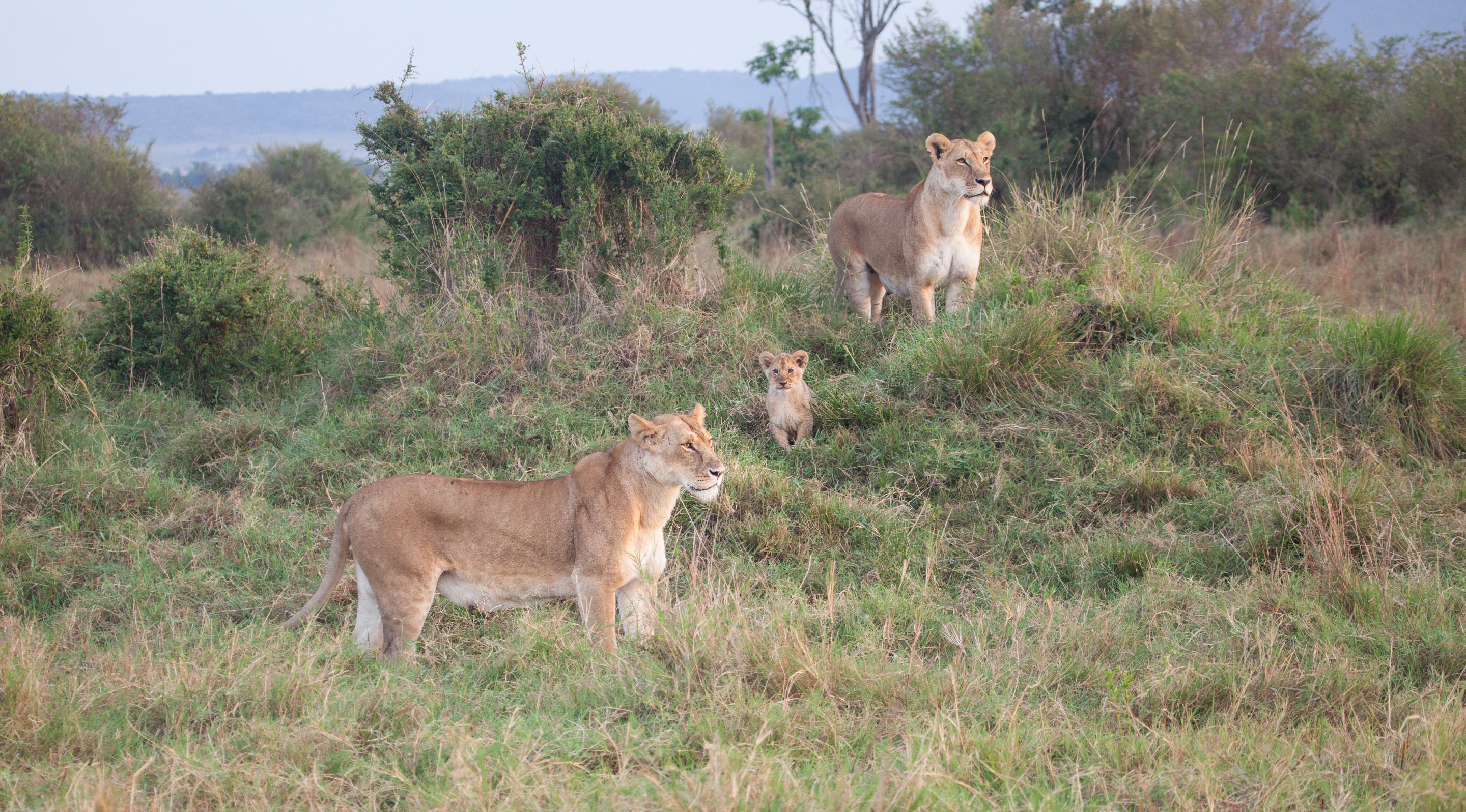 Day 2 Mara (13 of 117).jpg