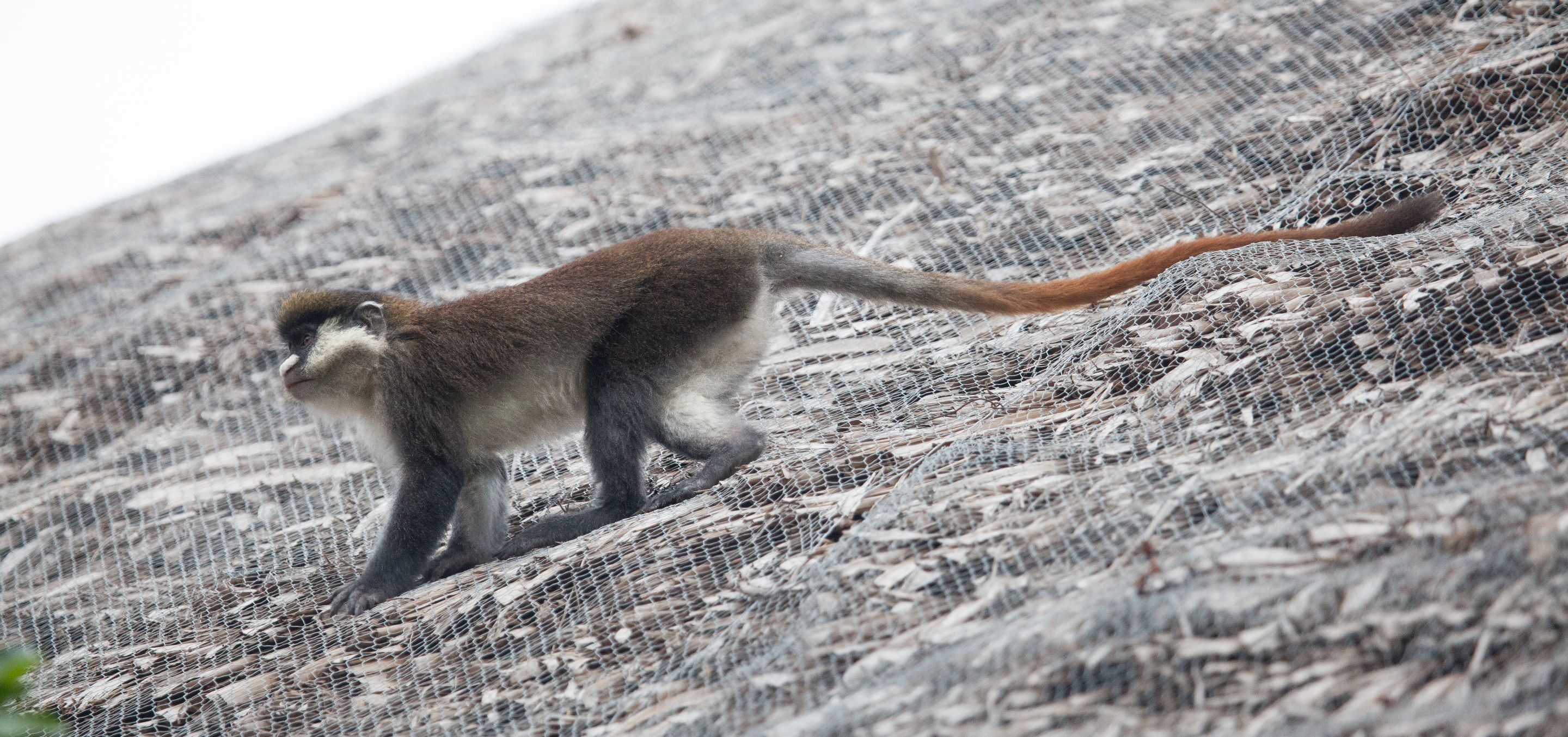 Day 4 Mara (1 of 87).jpg