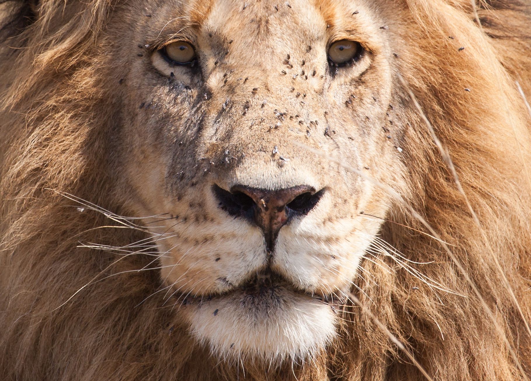 Day 4 Mara (79 of 87).jpg