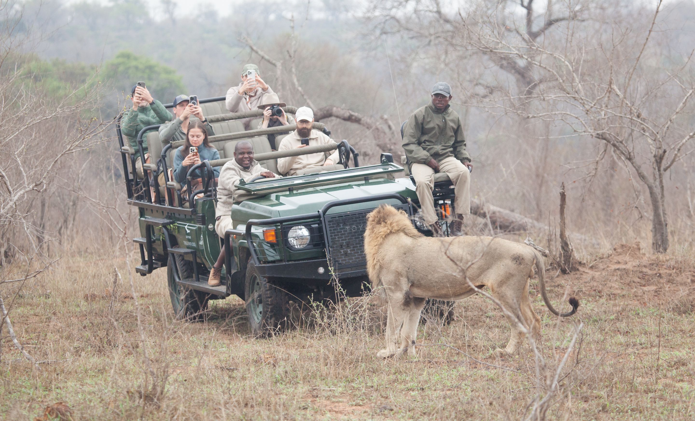 Day 13 SabiSands (16 of 76).jpg