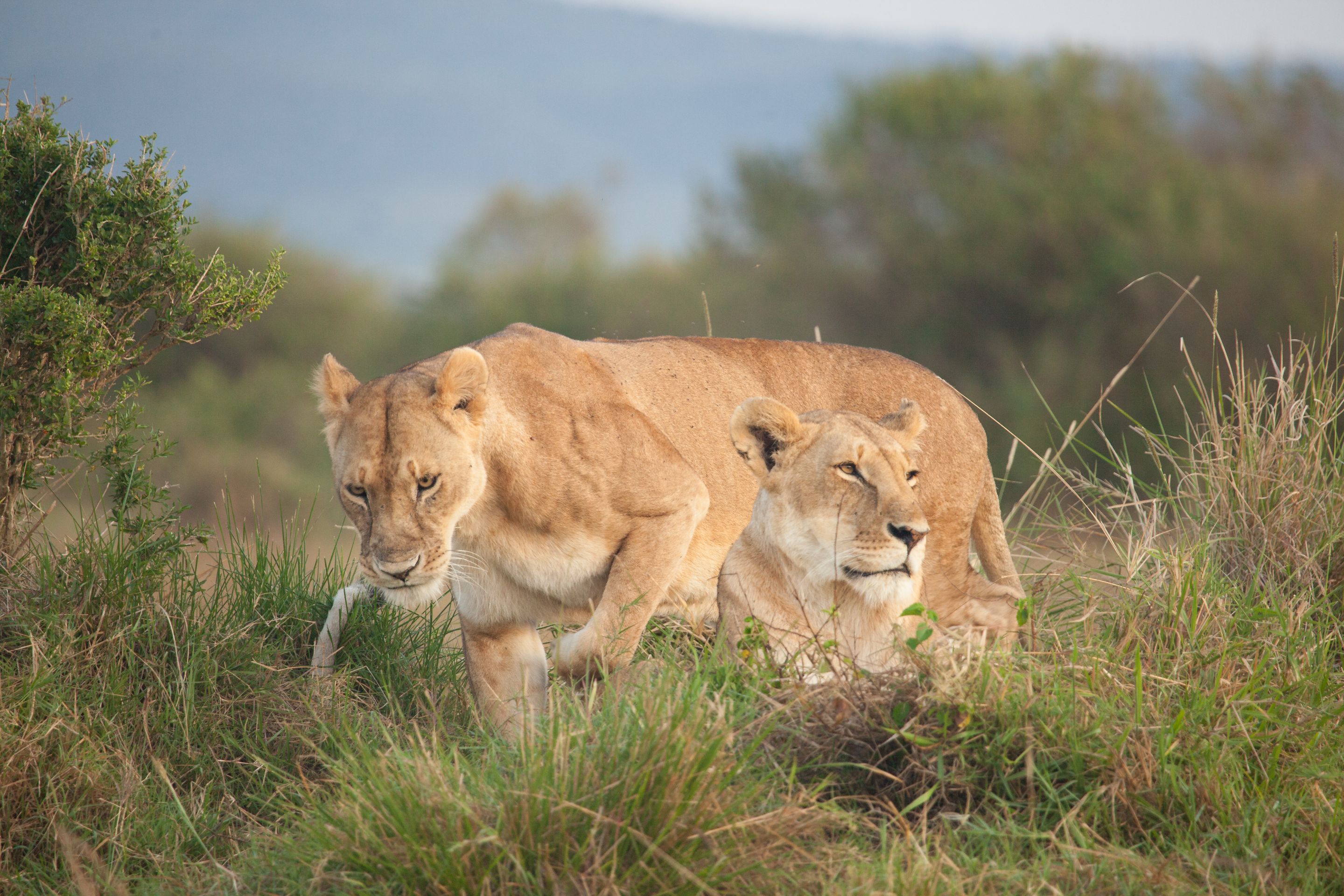 Day 2 Mara (24 of 117).jpg