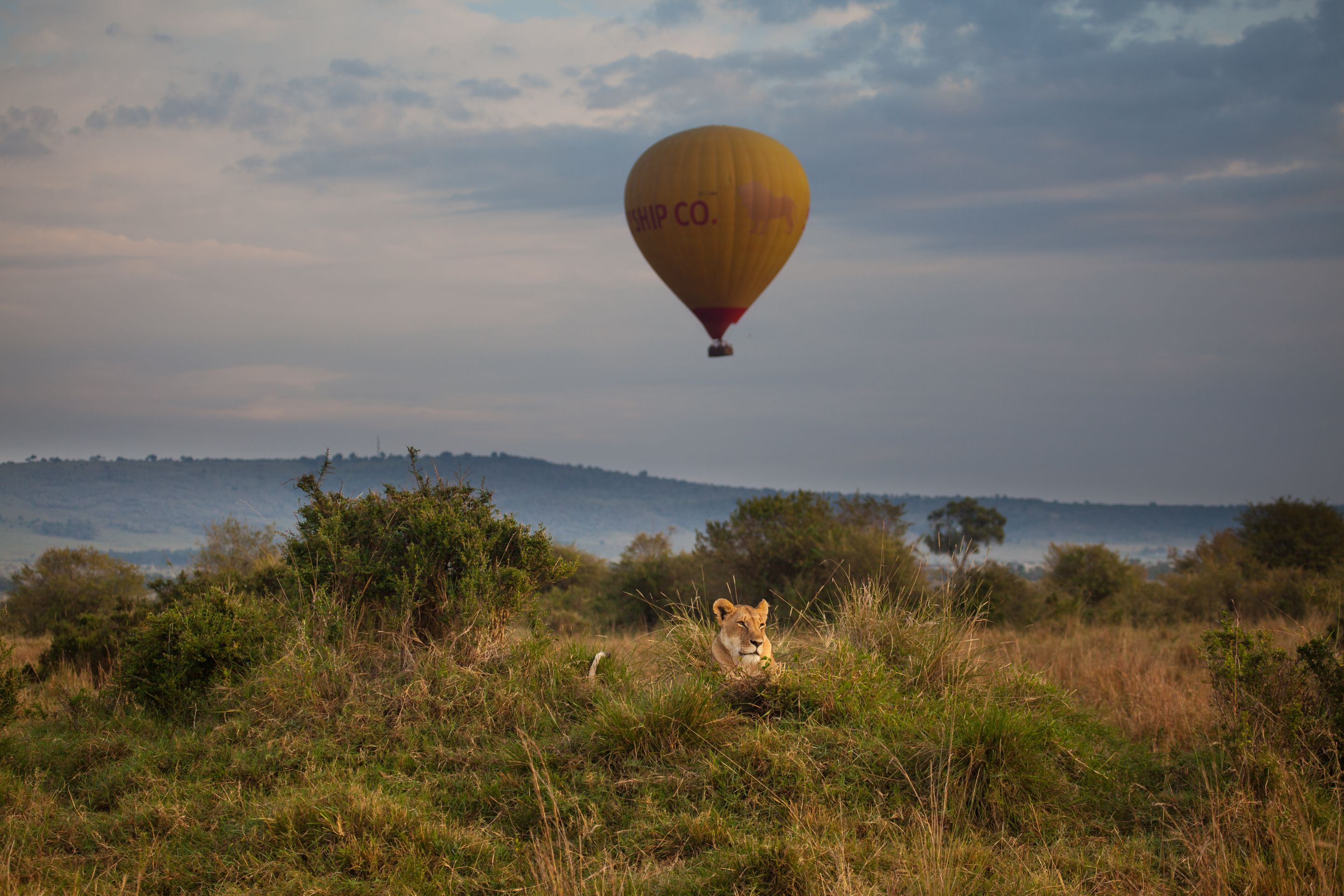 Day 2 Mara (26 of 117).jpg