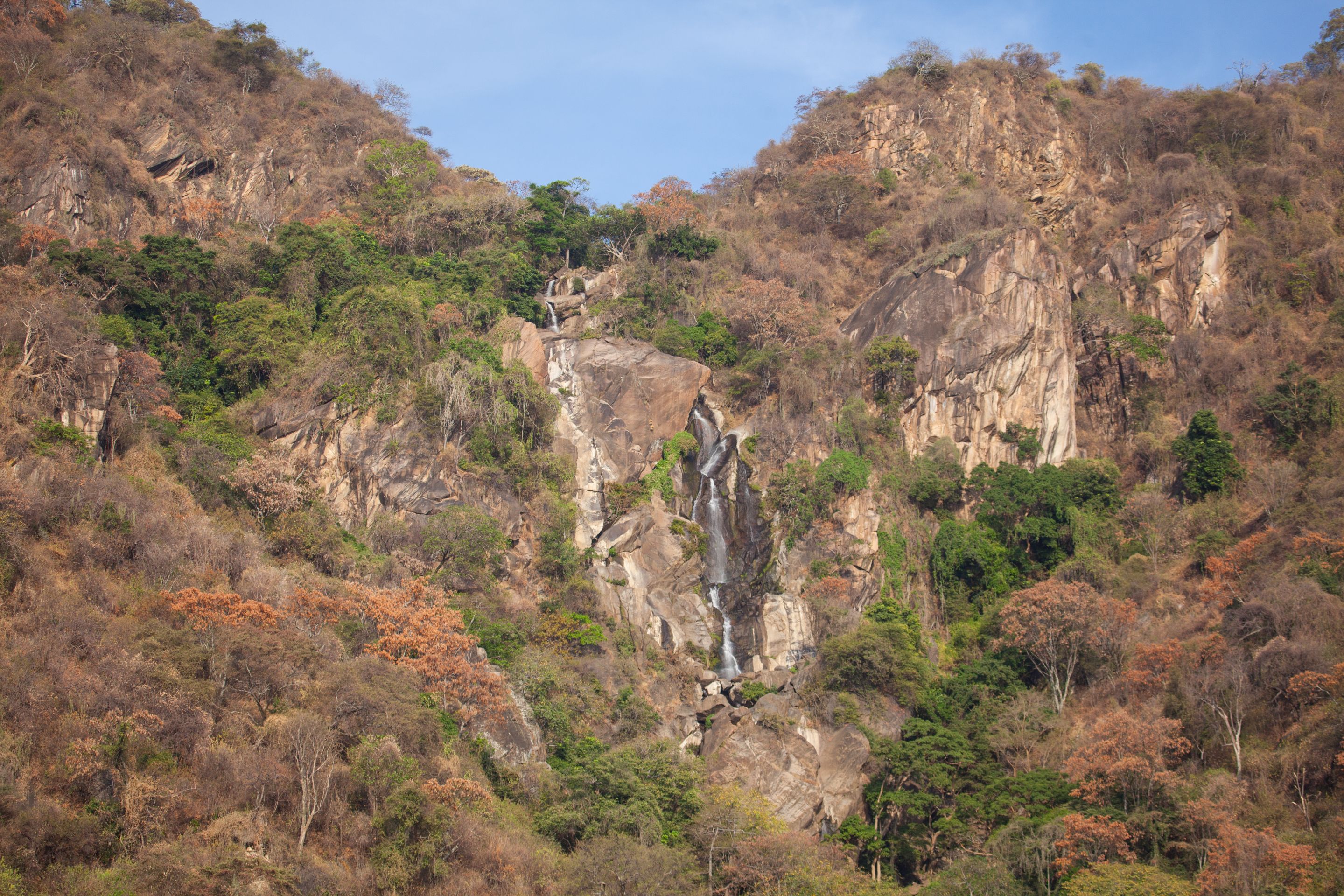 Day 10 Gorillas (2 of 61).jpg