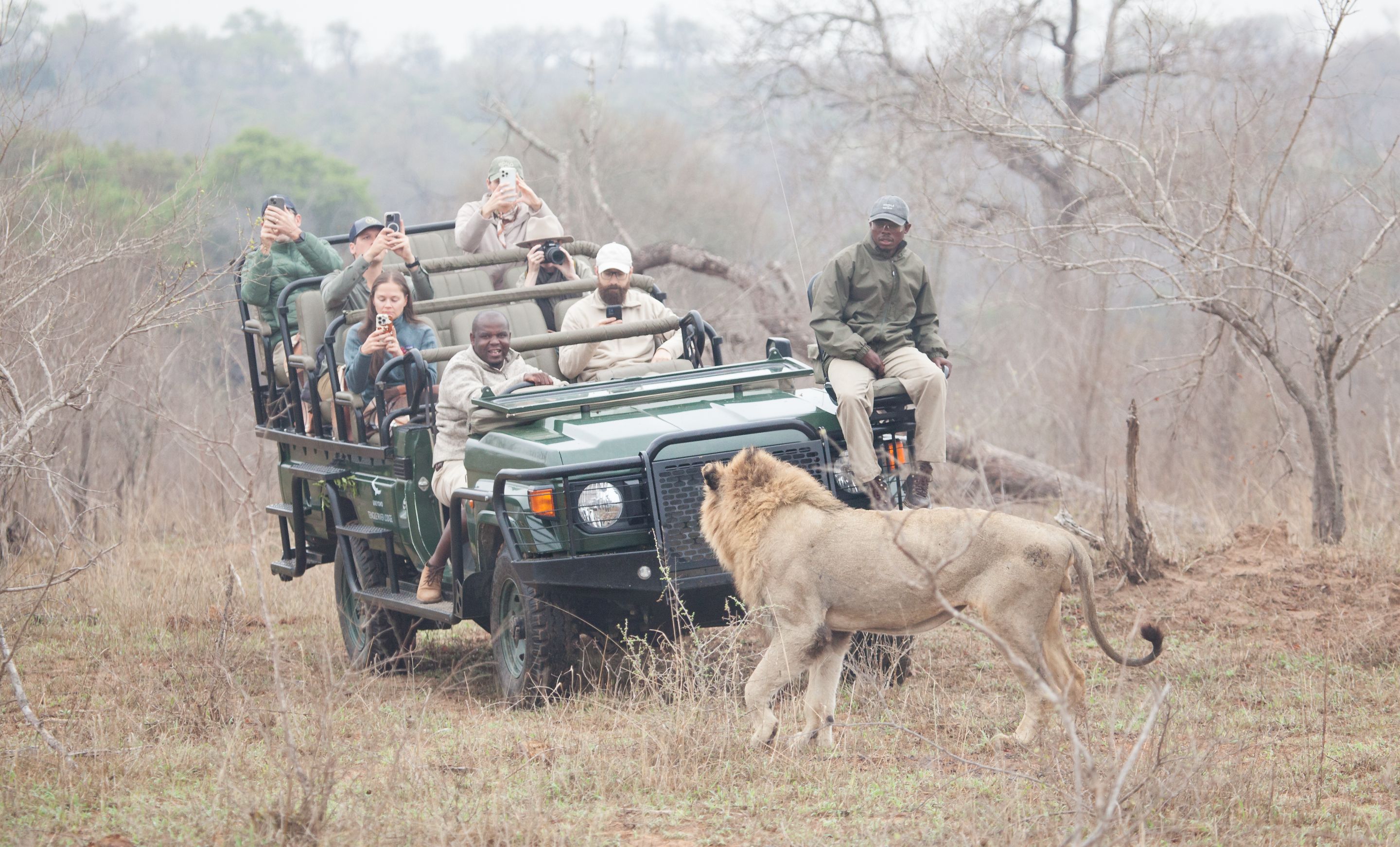 Day 13 SabiSands (17 of 76).jpg