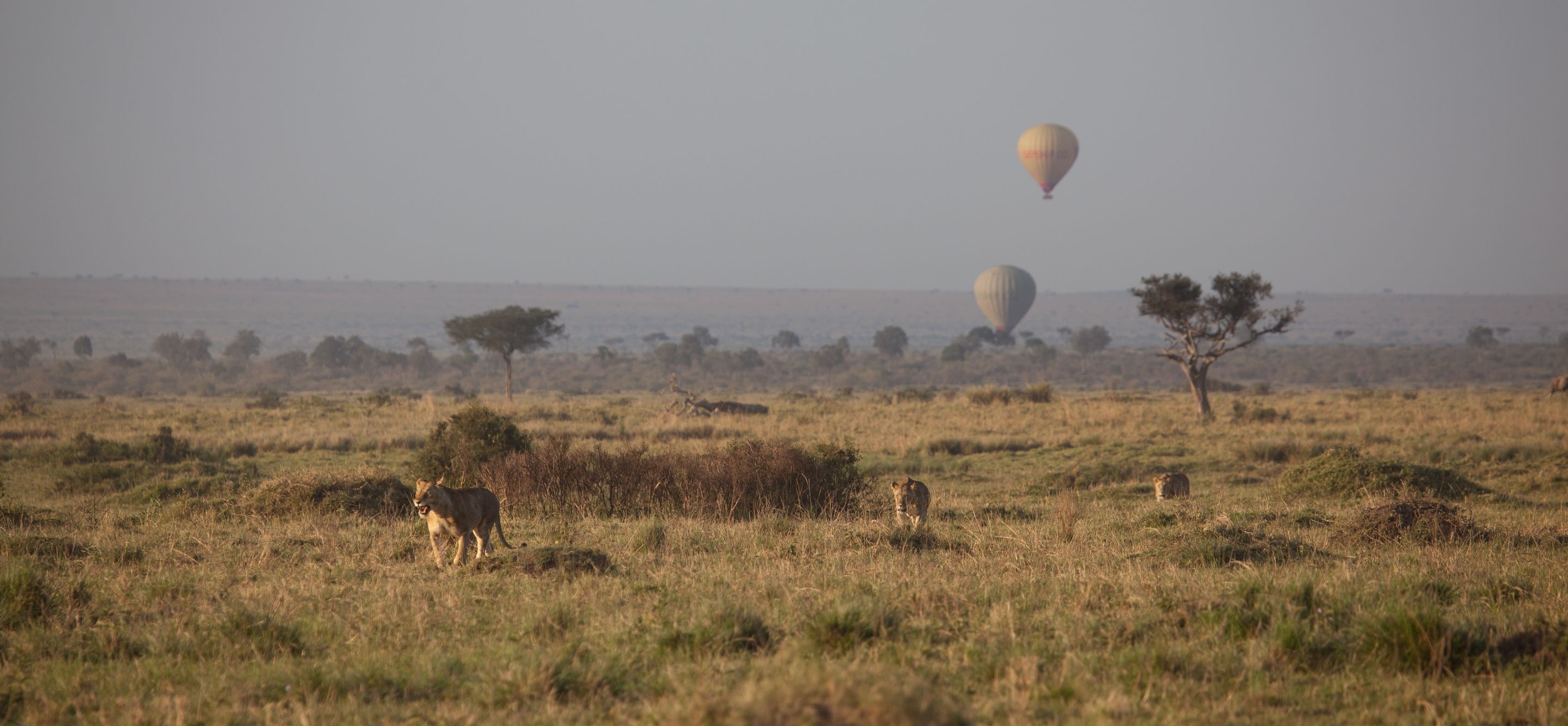 Day 2 Mara (34 of 117).jpg